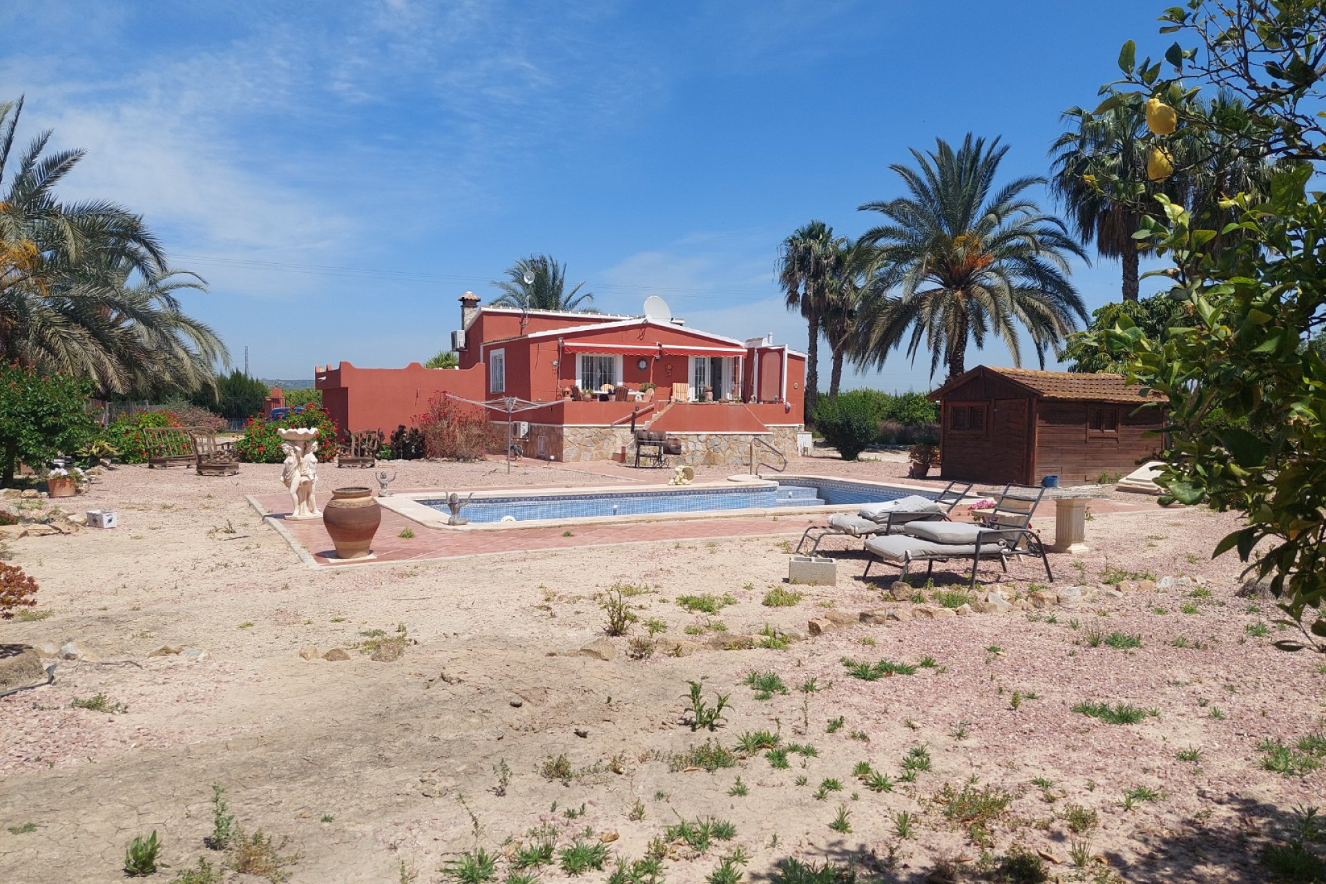 Resale - Country House - San Miguel de Salinas - Inland