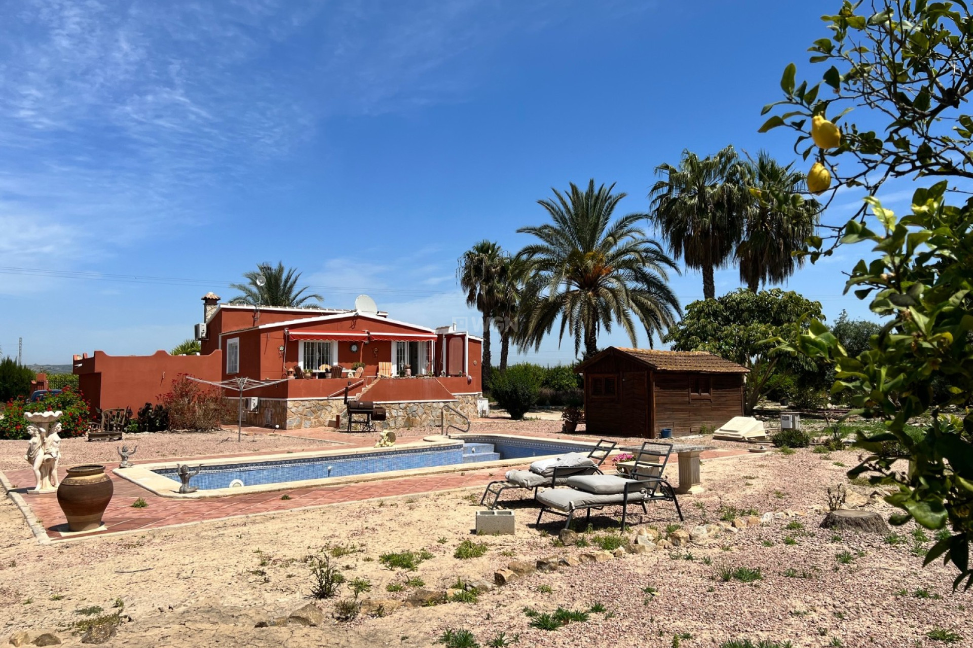 Resale - Country House - San Miguel de Salinas - Inland