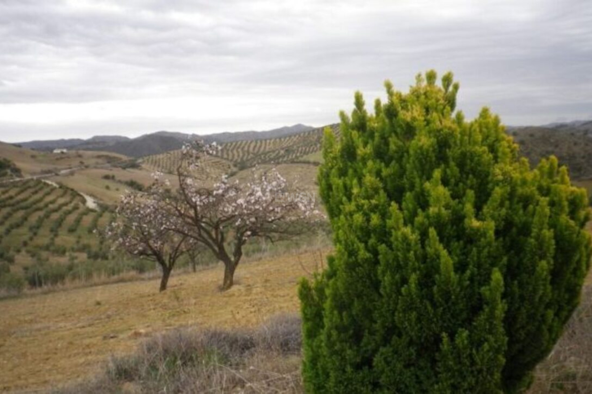 Resale - Country House - Valle de Abdalajis - Inland