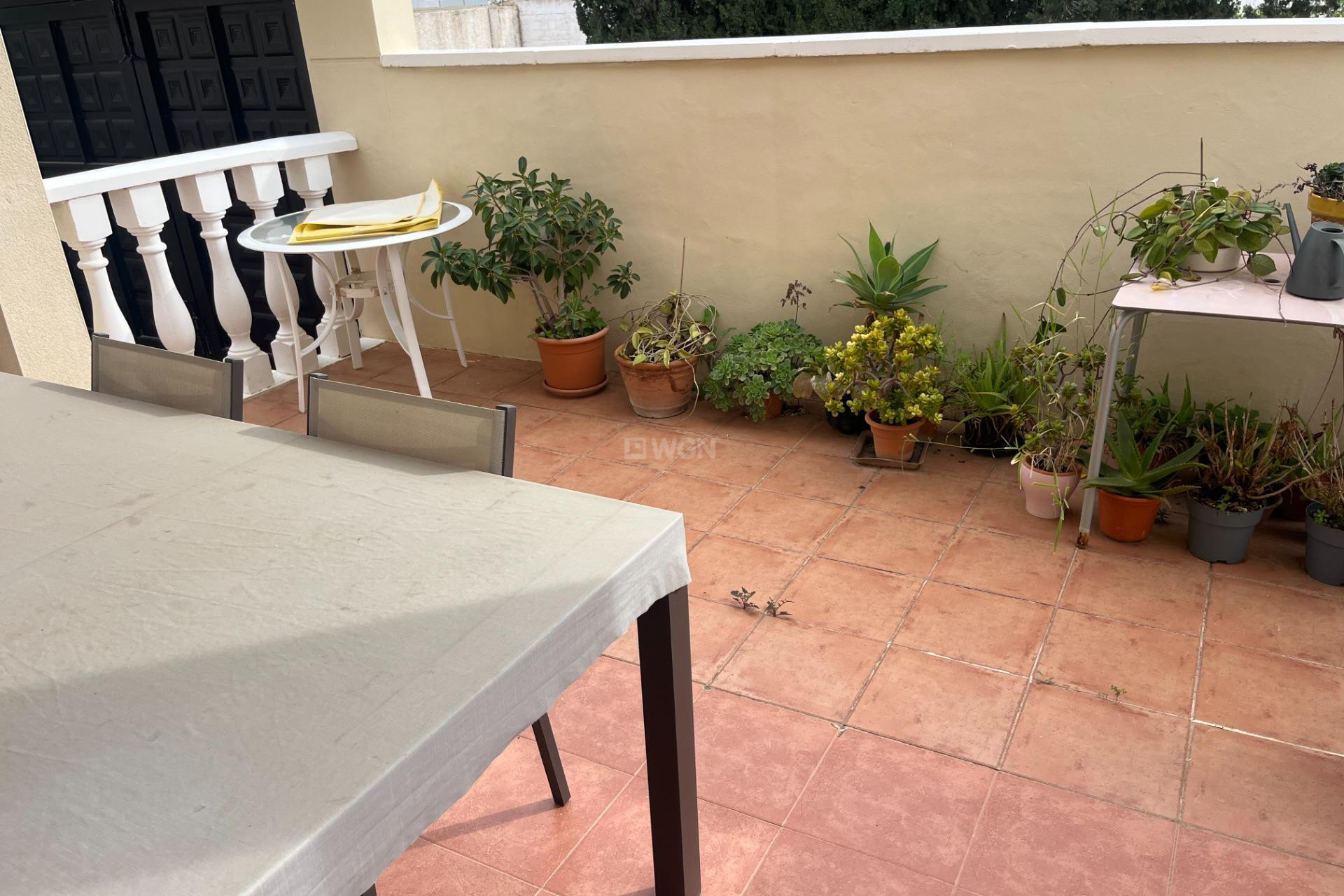 Resale - Duplex - San Miguel de Salinas - Las Filipinas