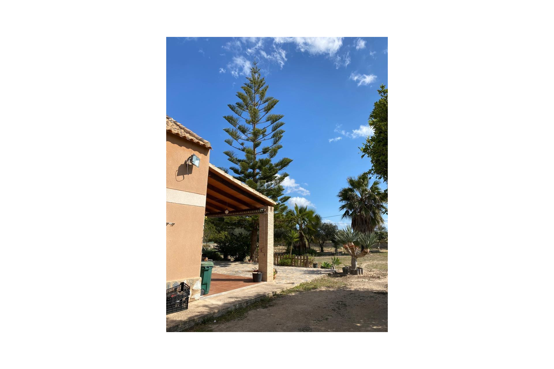 Resale - Finca - Algorfa - Afueras