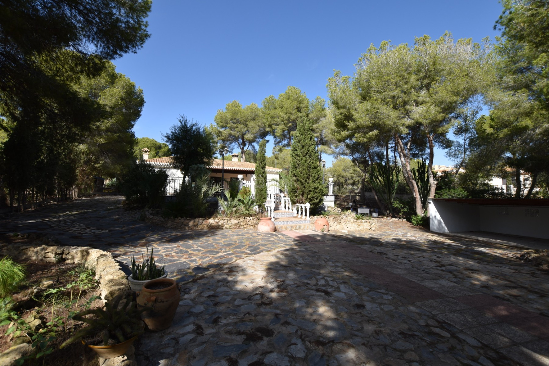 Resale - Finca - Algorfa - Inland