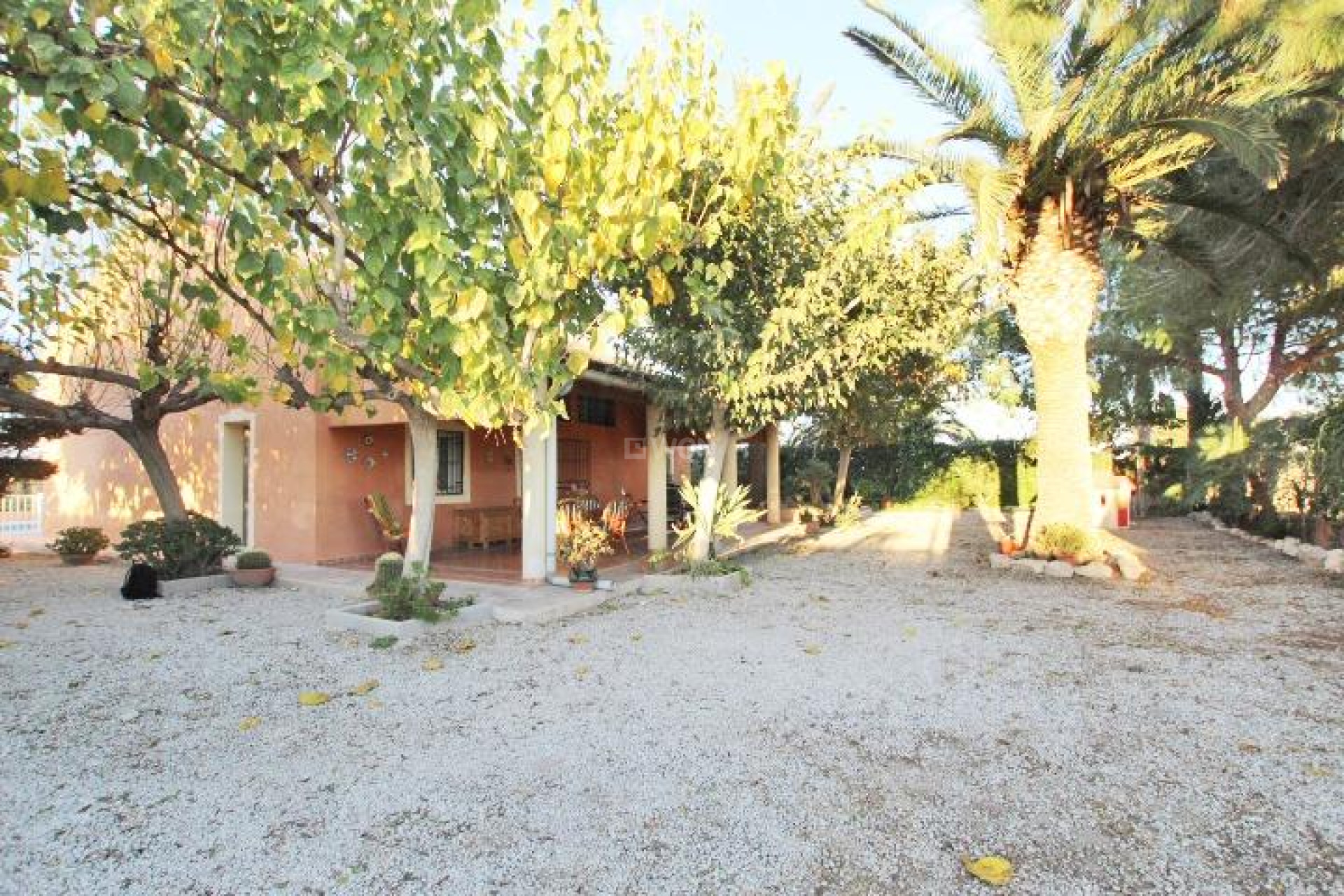 Resale - Finca - Almoradí - Comunidad Valenciana