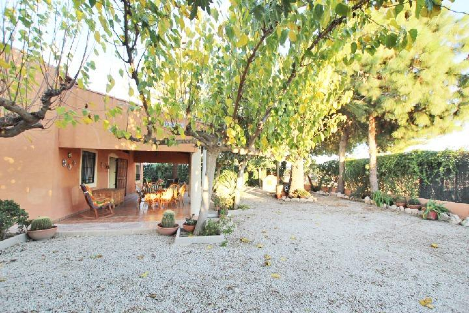 Resale - Finca - Almoradí - Comunidad Valenciana