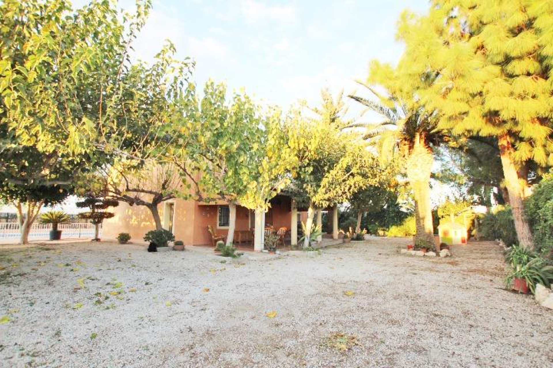 Resale - Finca - Almoradí - Comunidad Valenciana