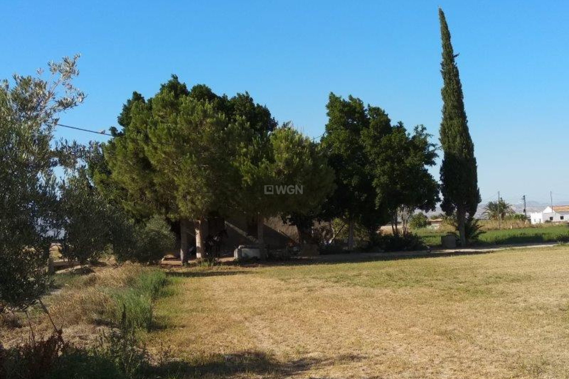 Resale - Finca - Callosa de Segura - Inland