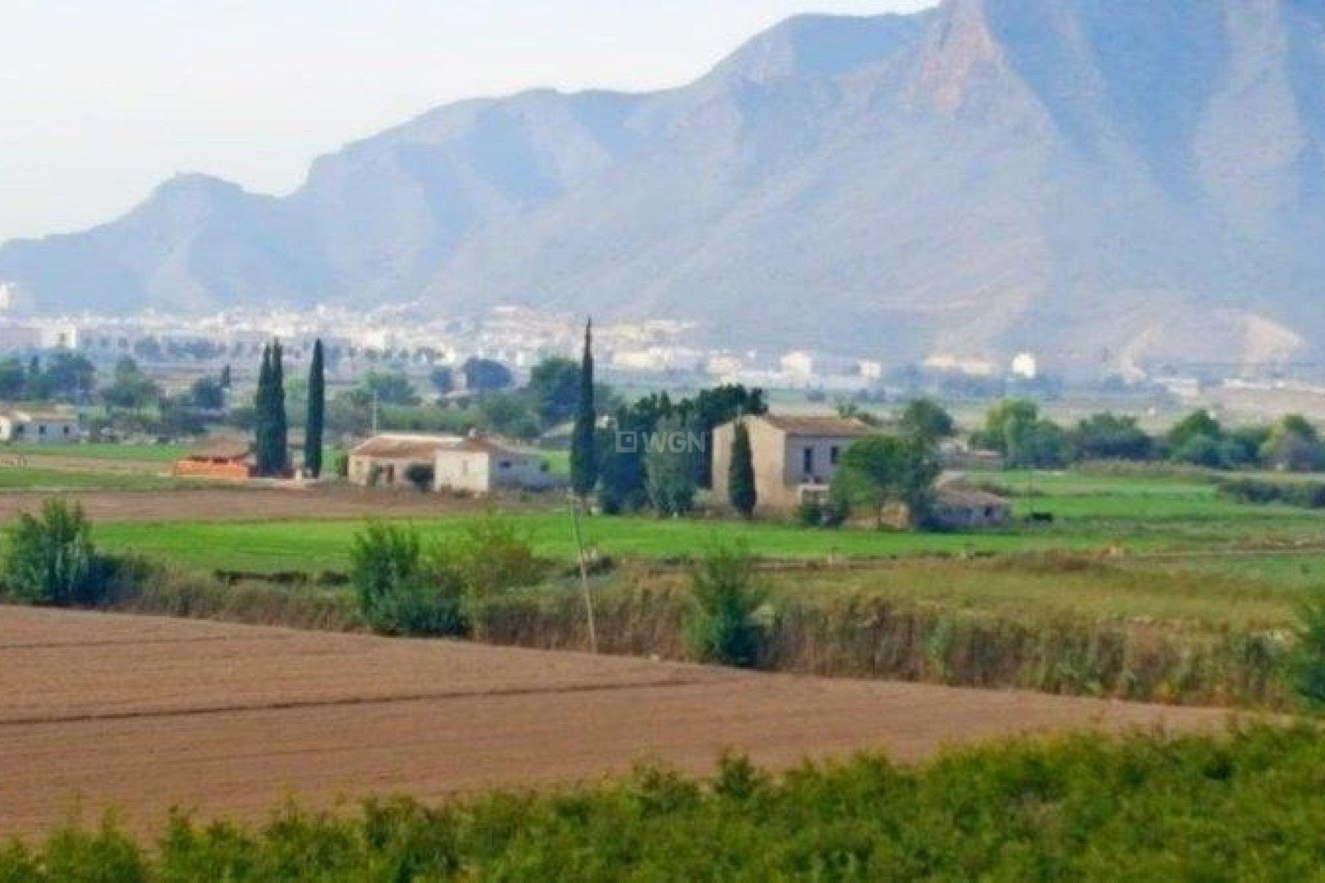 Resale - Finca - Callosa de Segura - Inland