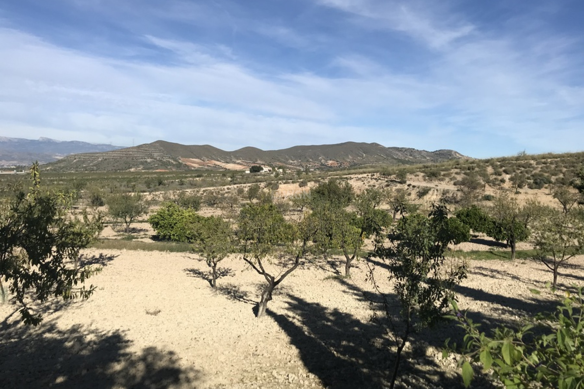 Resale - Finca - Lorca - Costa Calida