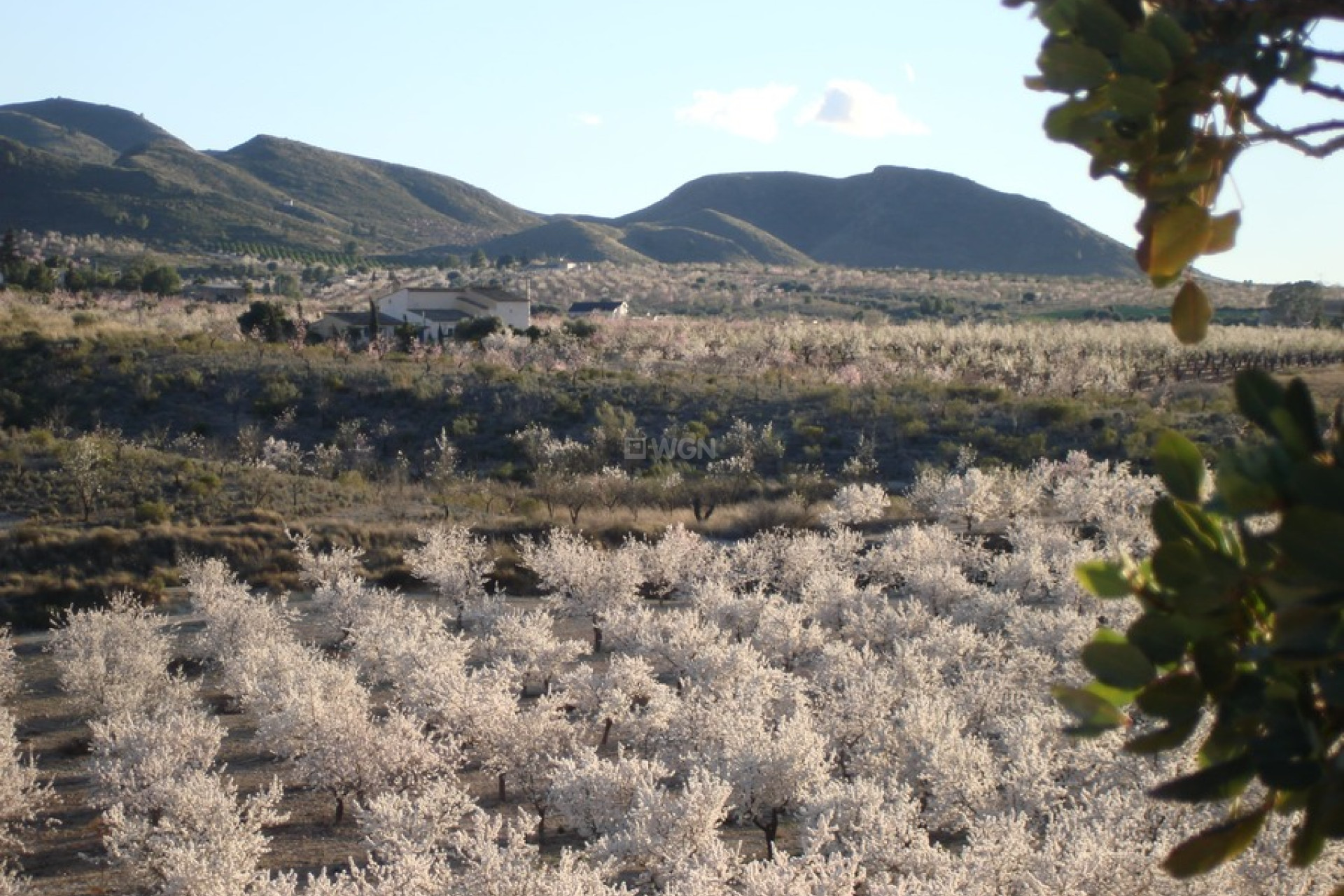 Resale - Finca - Lorca - Costa Calida