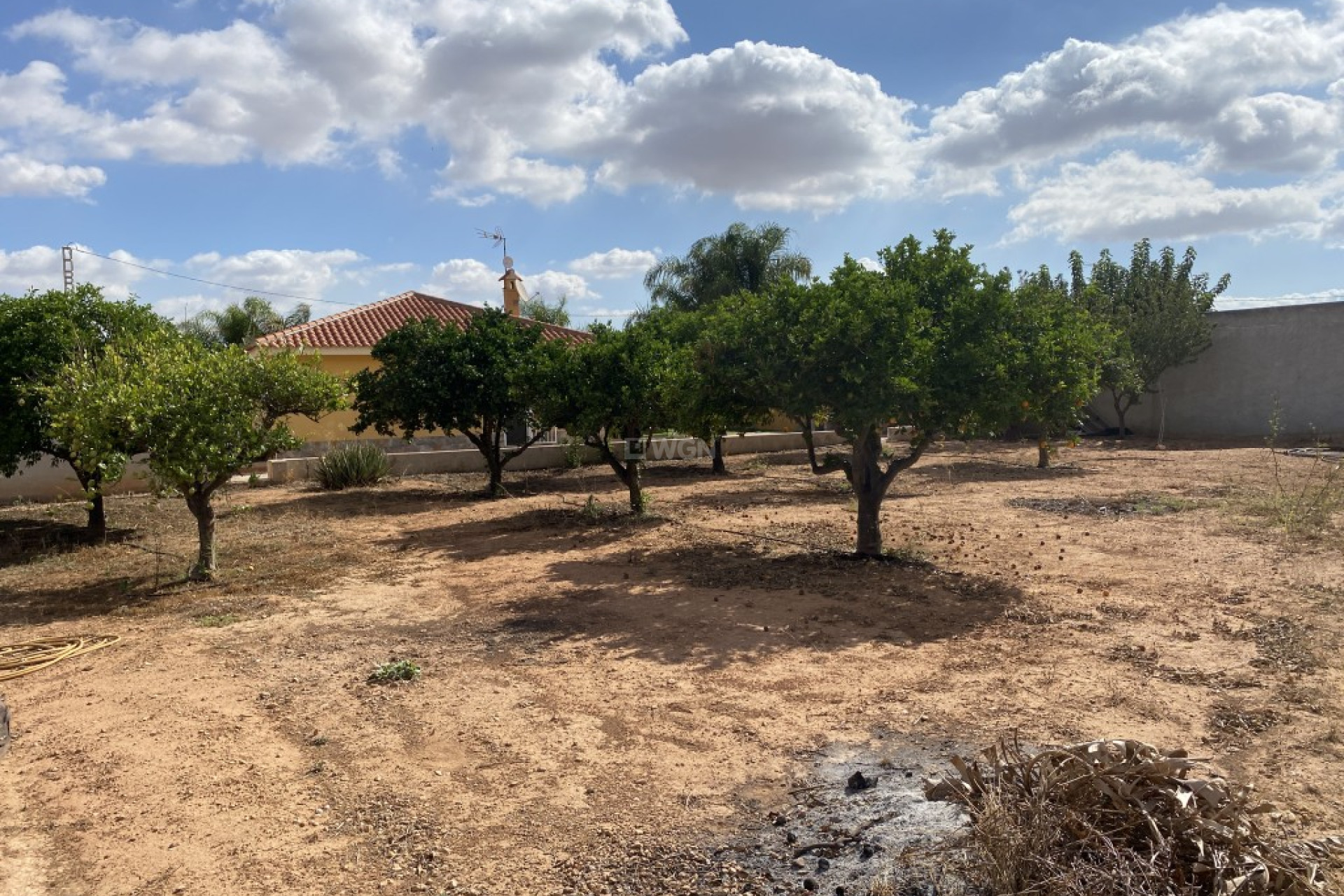 Resale - Finca - Murcia - Inland