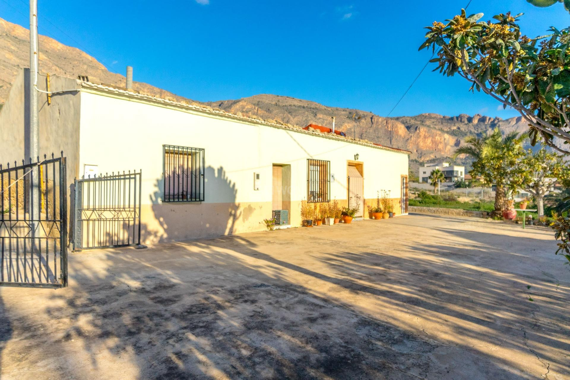 Resale - Finca - Orihuela - Raiguero De Bonanza