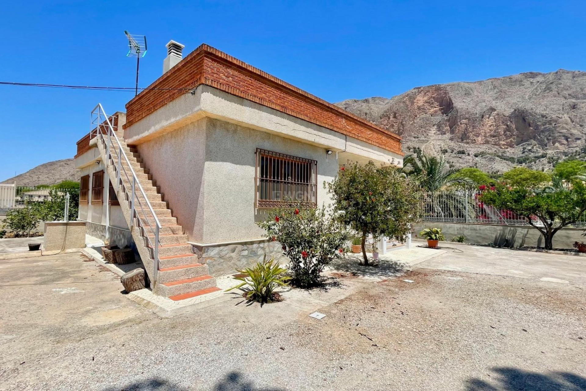 Resale - Finca - Redován - La Cruz