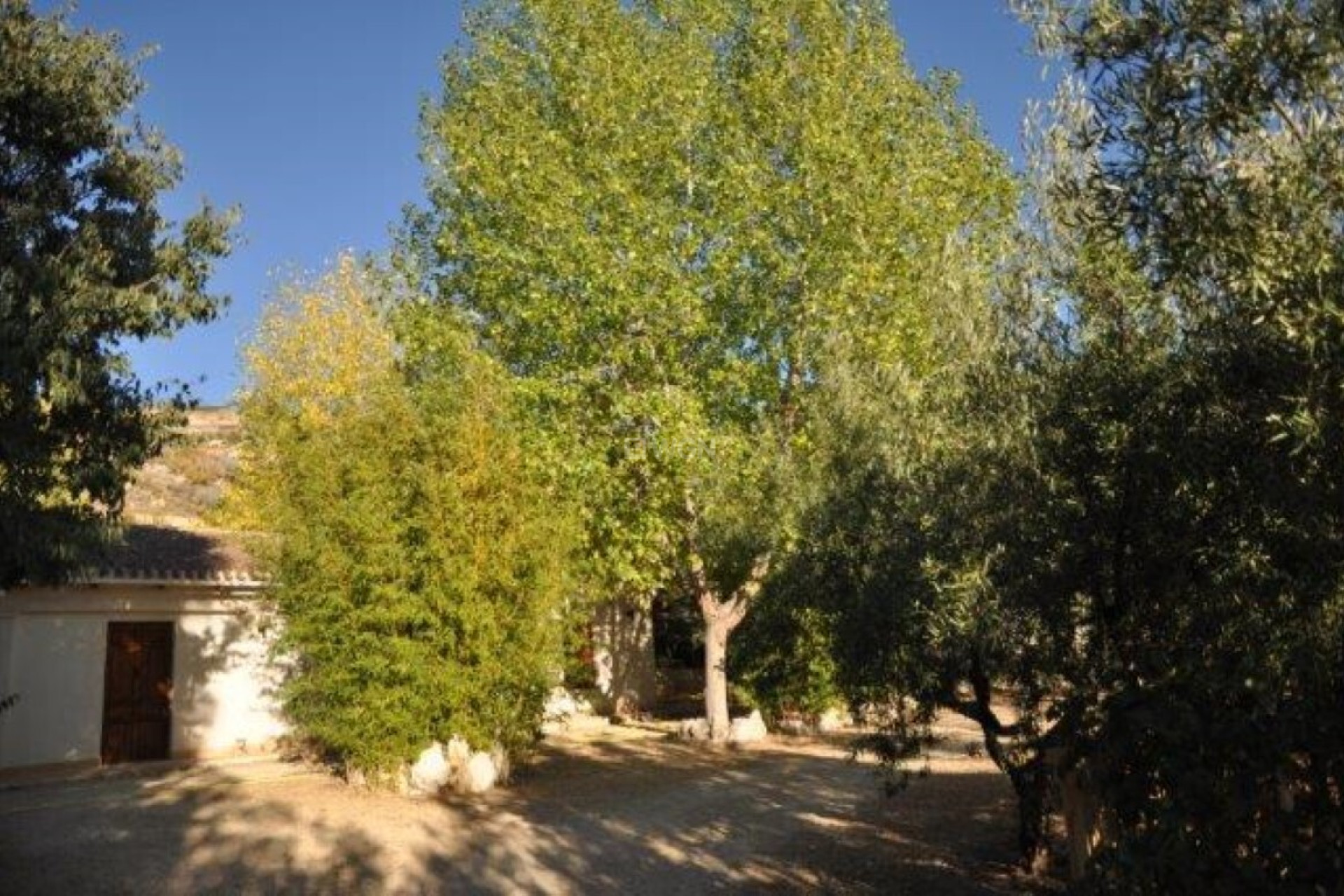 Resale - Finca - Torremanzanas - Costa Blanca