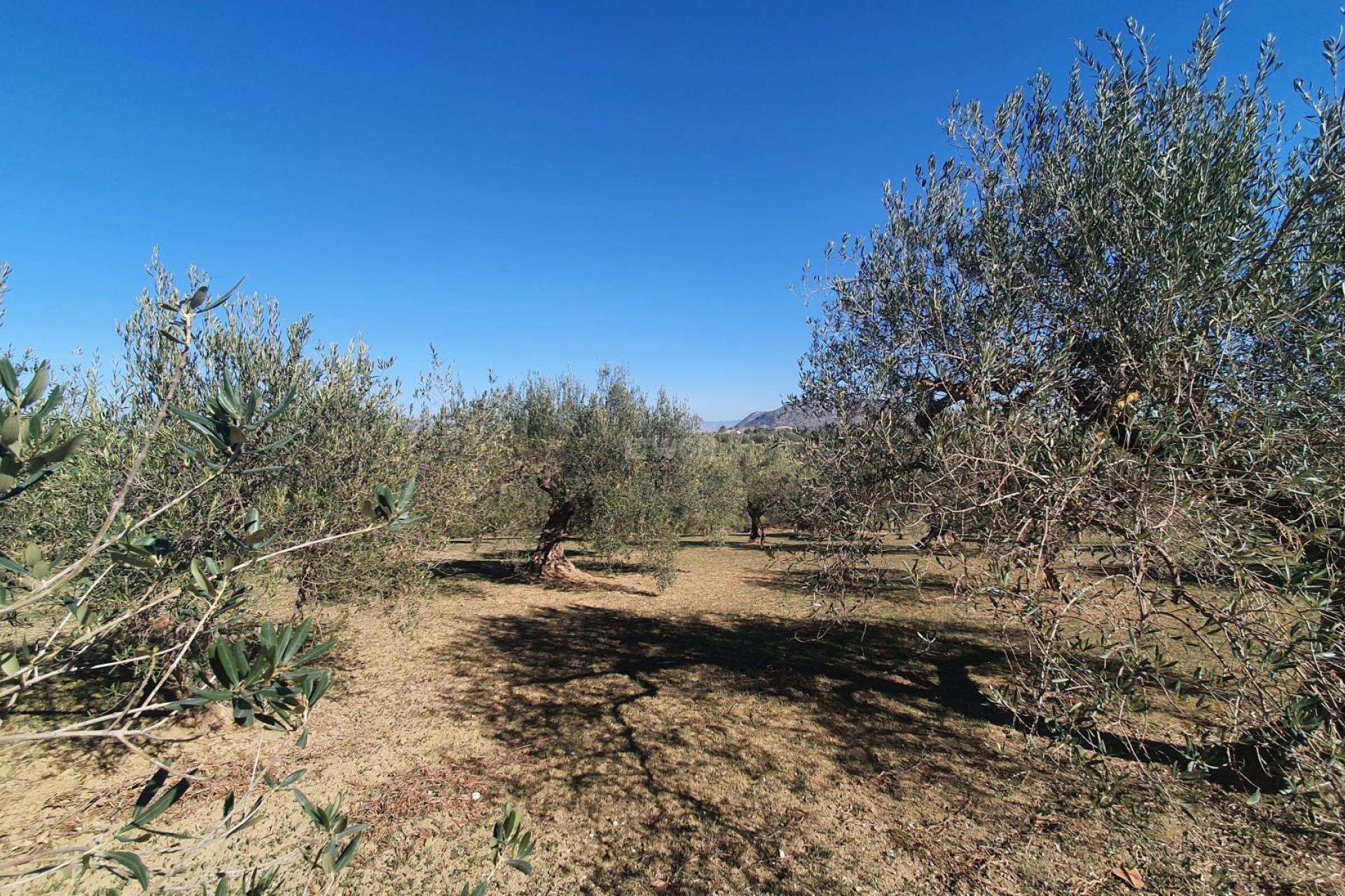 Resale - Land - Alhaurin el Grande - Inland