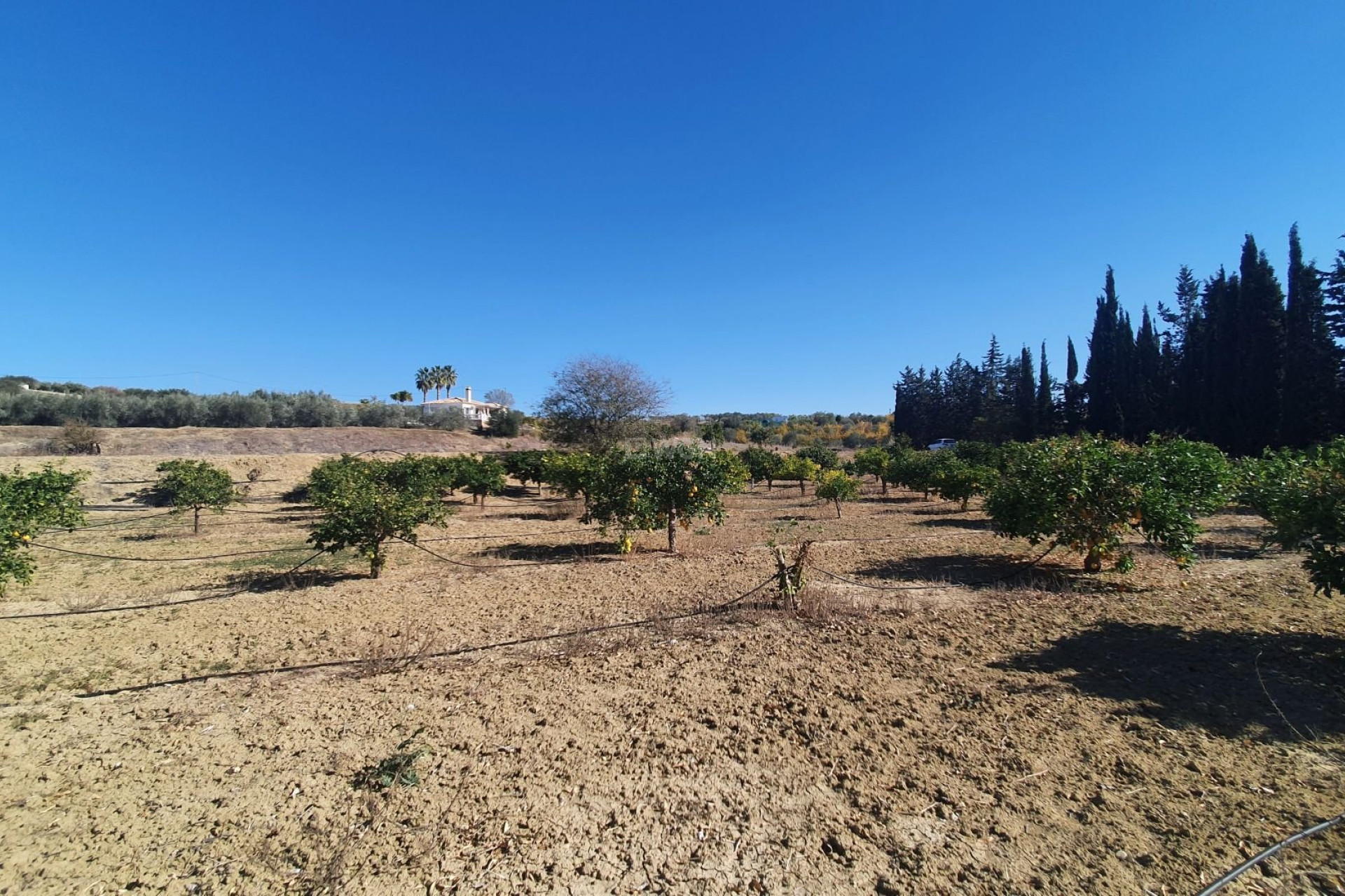 Resale - Land - Alhaurin el Grande - Inland