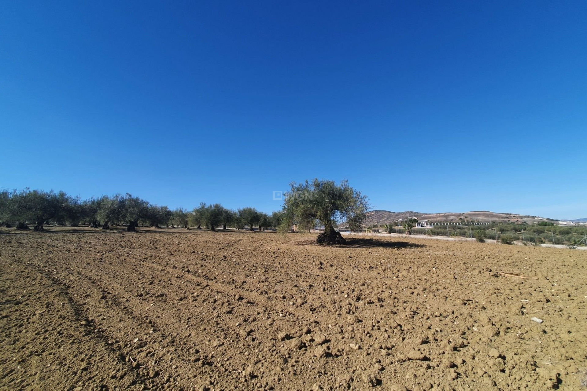 Resale - Land - Alhaurin el Grande - Inland