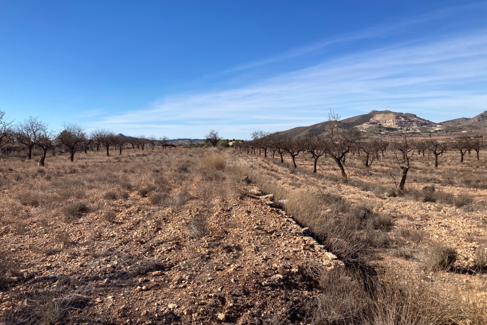 Resale - Land - Hondón de las Nieves - Inland