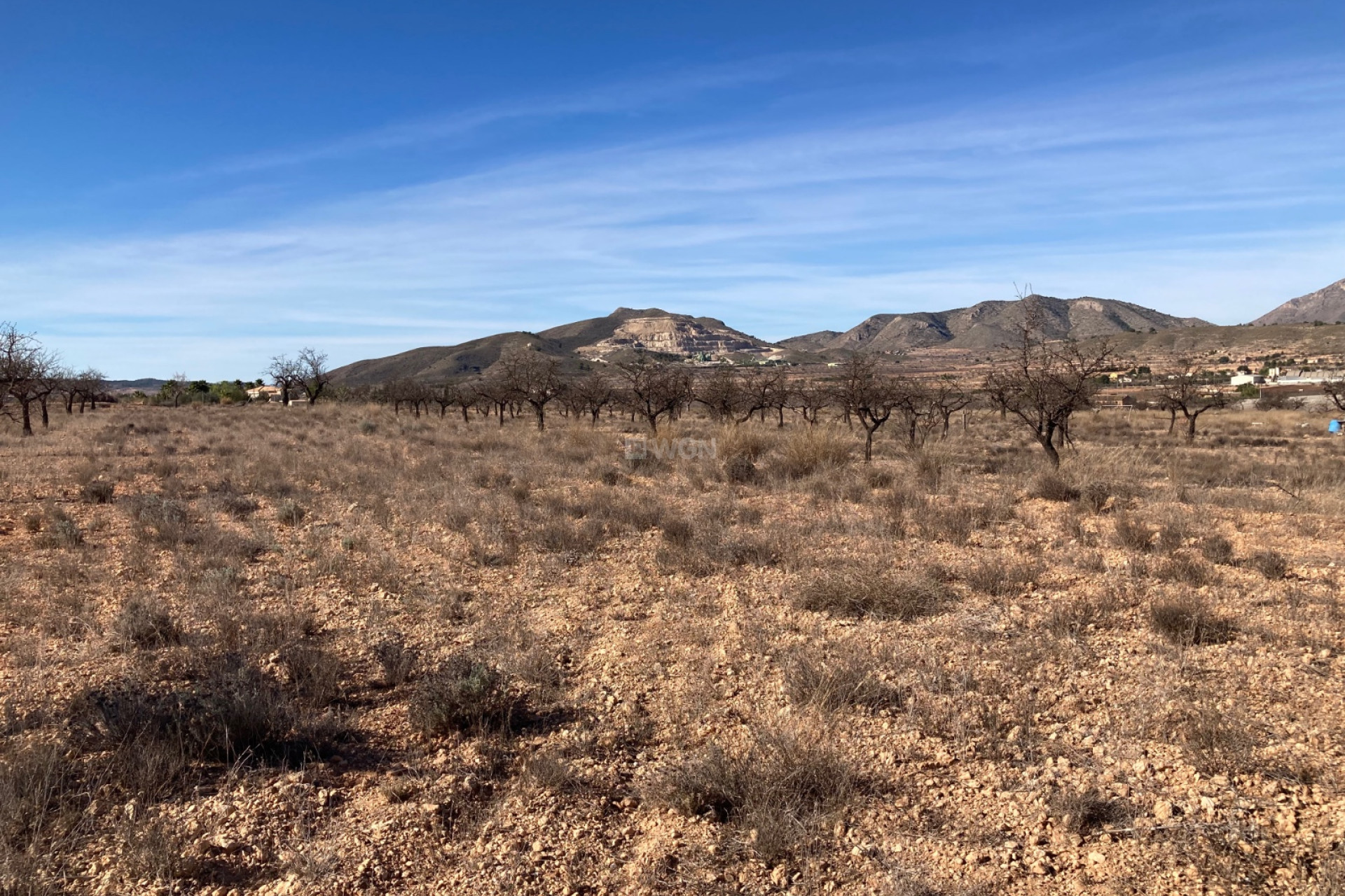 Resale - Land - Hondón de las Nieves - Inland