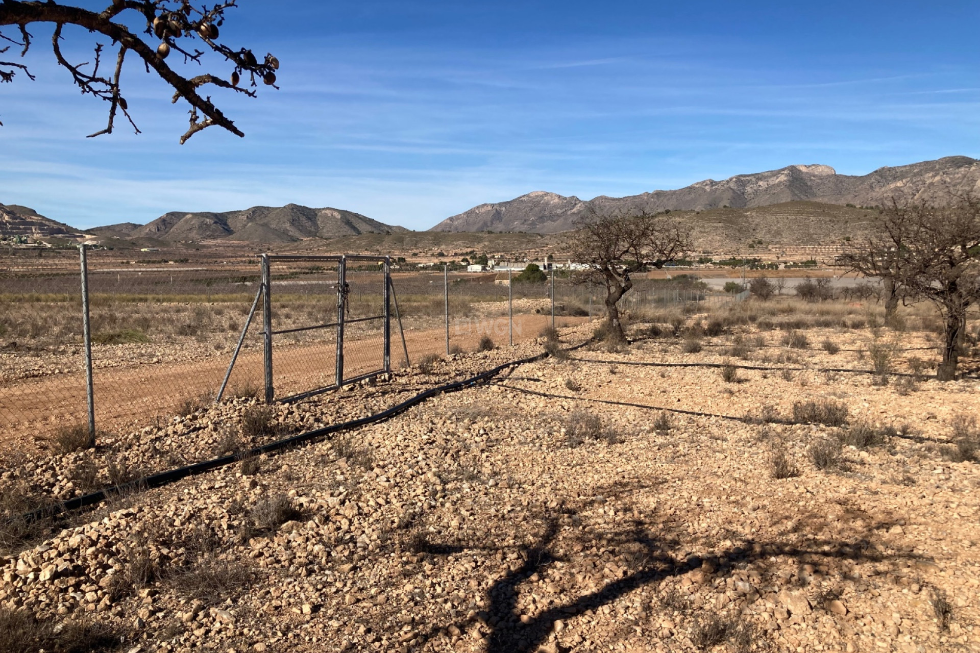 Resale - Land - Hondón de las Nieves - Inland