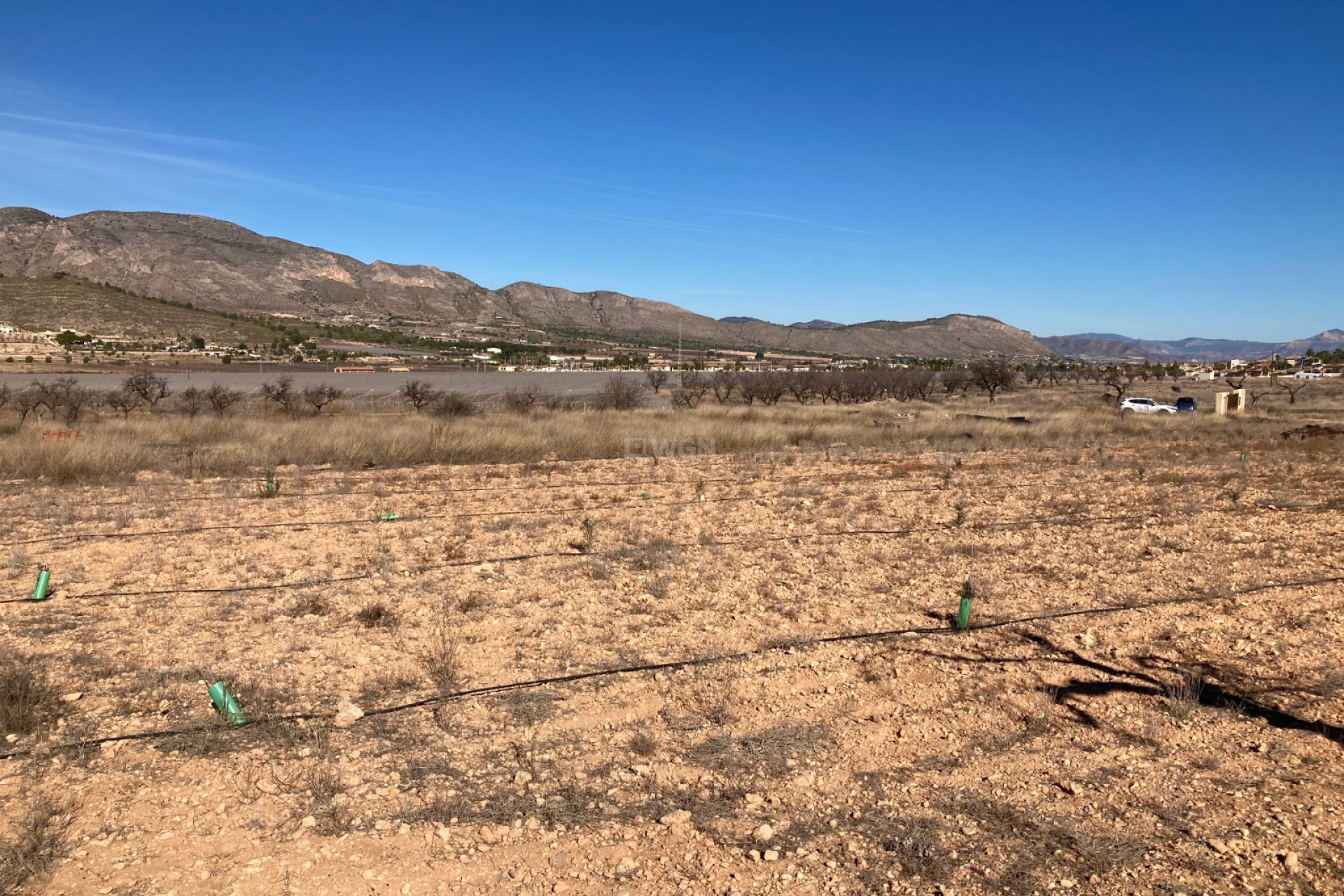 Resale - Land - Hondón de las Nieves - Inland