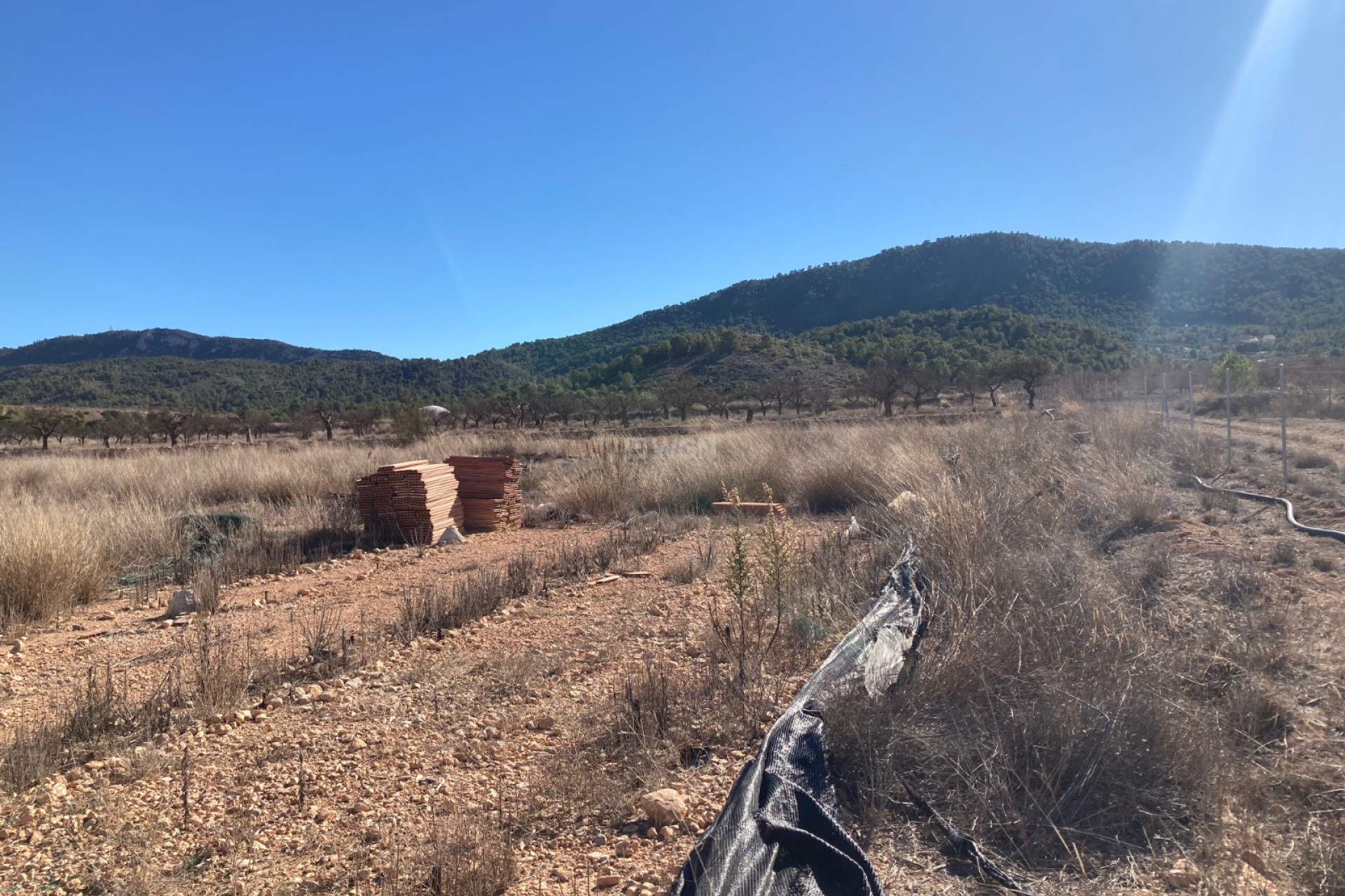 Resale - Land - Hondón de las Nieves - Inland