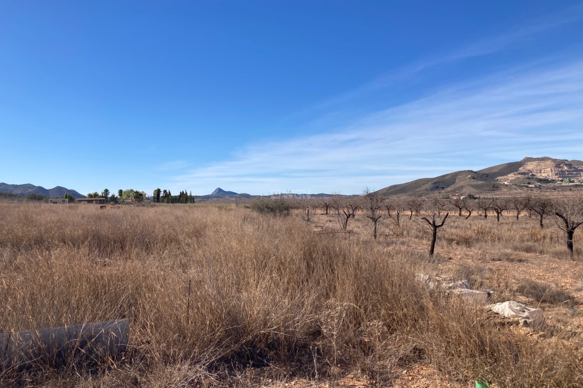 Resale - Land - Hondón de las Nieves - Inland