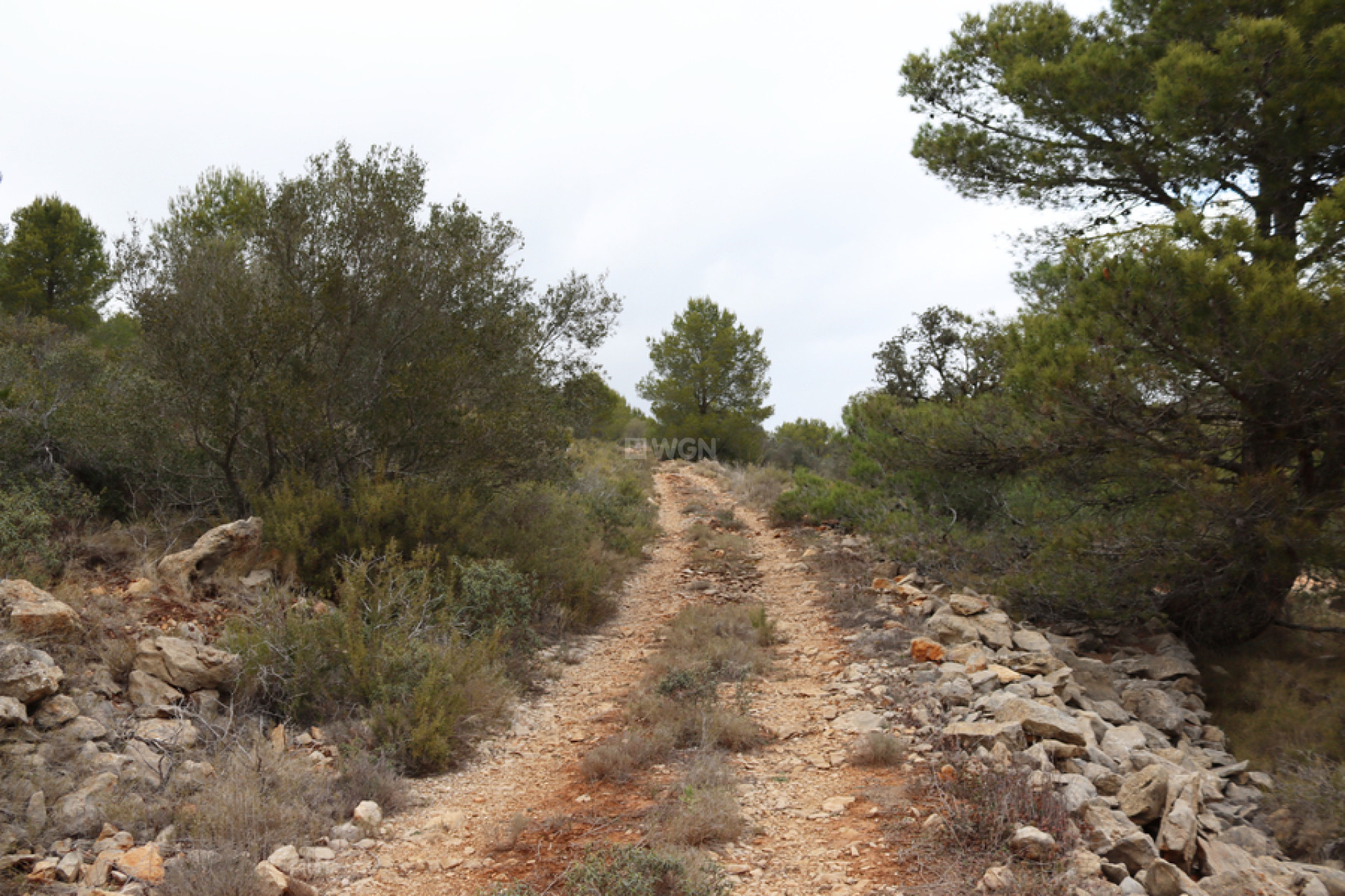 Resale - Land - Jalón - Inland