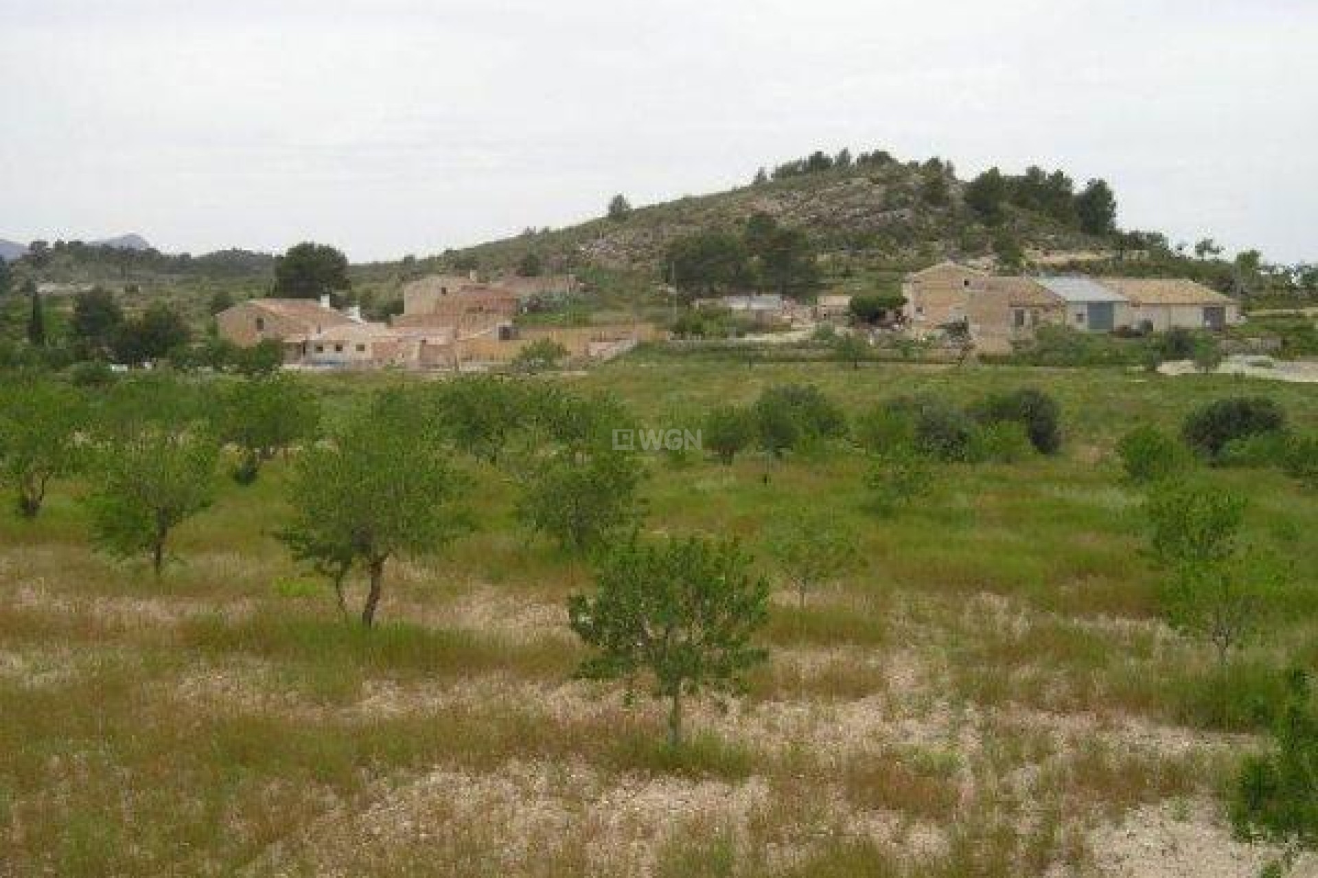 Resale - Land - Jumilla - CaÑada Del Trigo