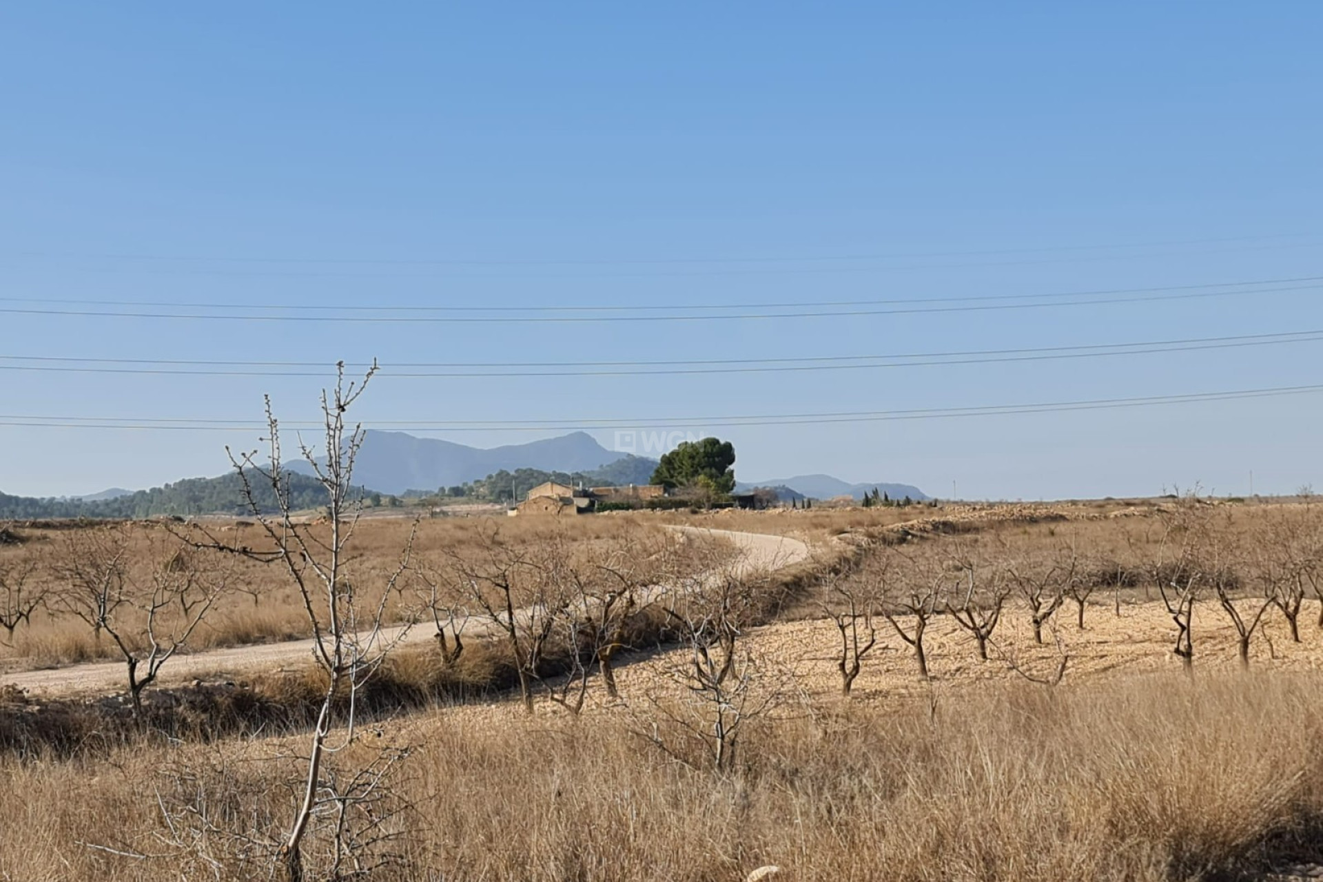 Resale - Land - Jumilla - Inland