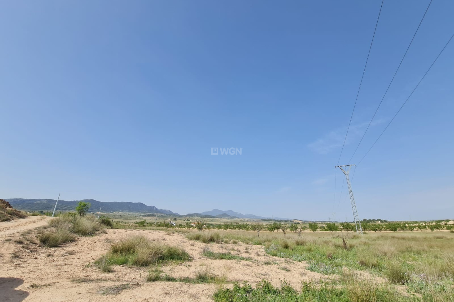 Resale - Land - Jumilla - Inland