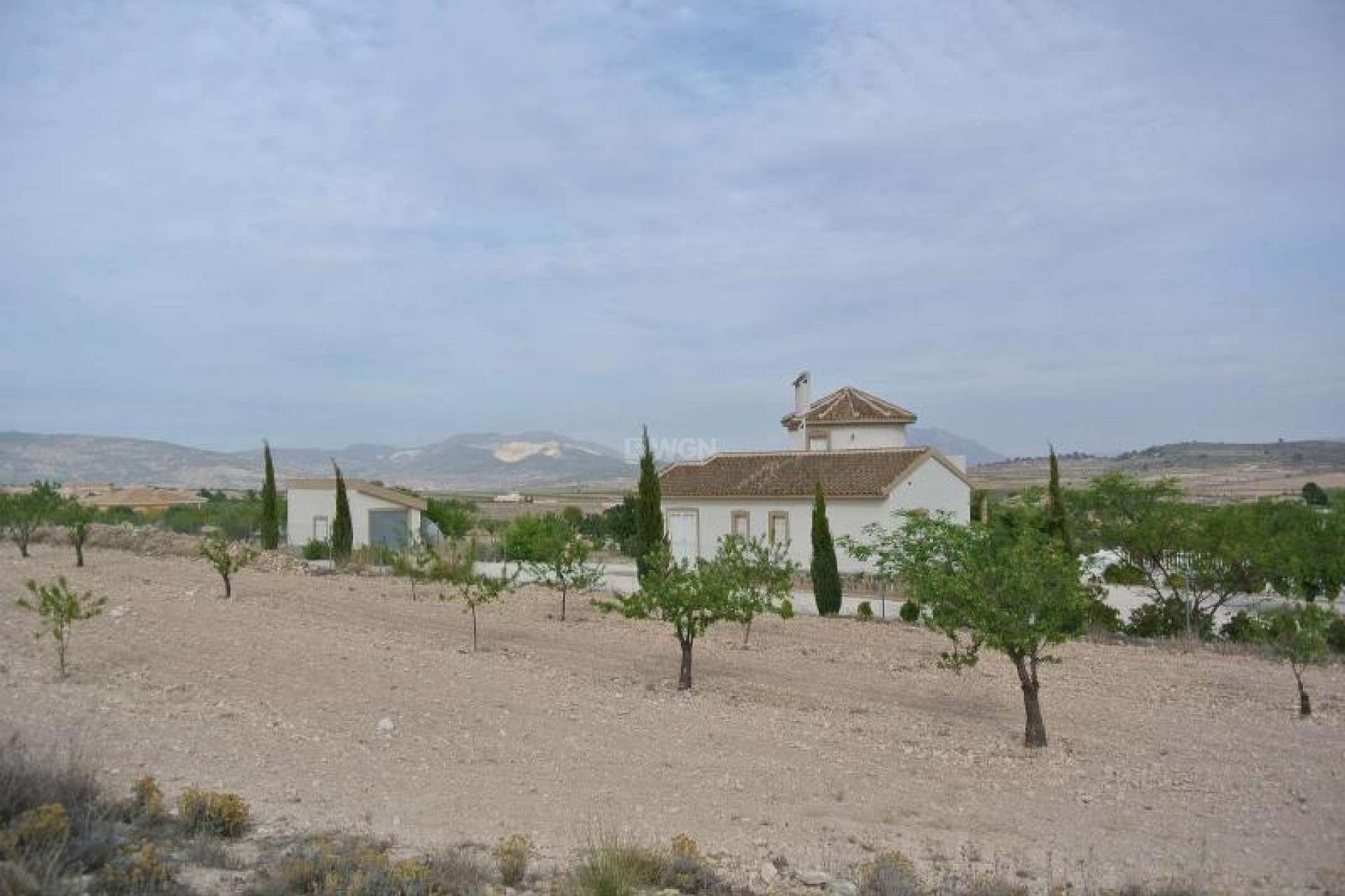 Resale - Land - Jumilla - Inland