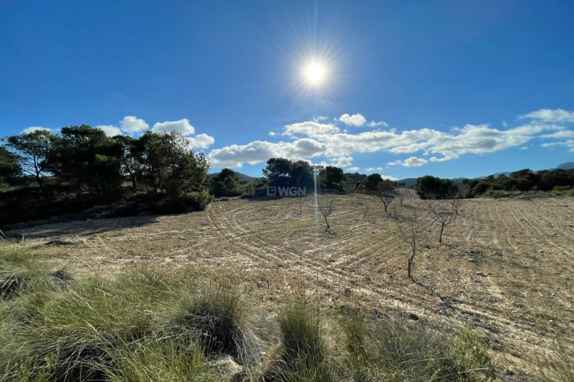 Resale - Land - La Zarza - Inland