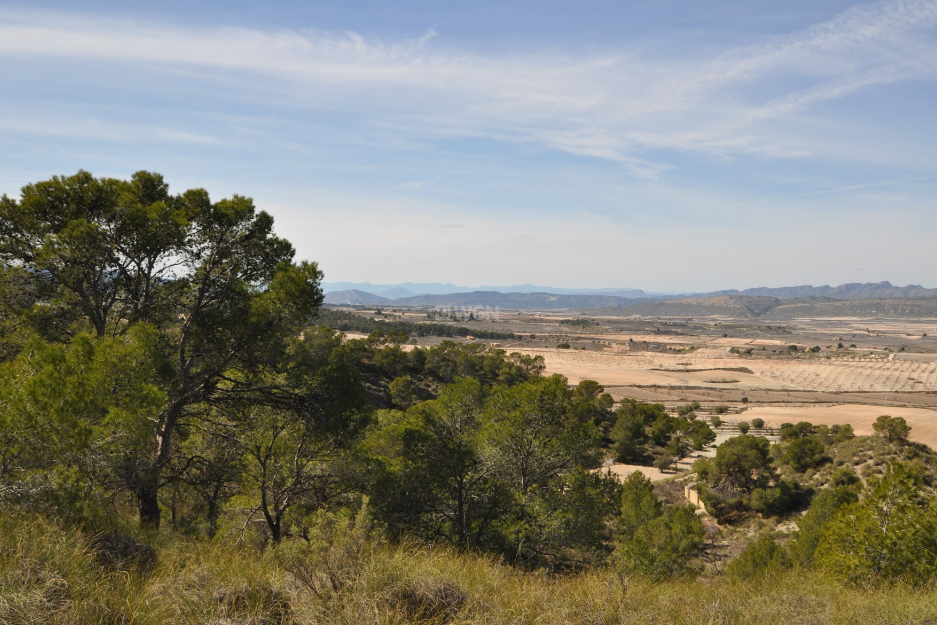 Resale - Land - La Zarza - Inland