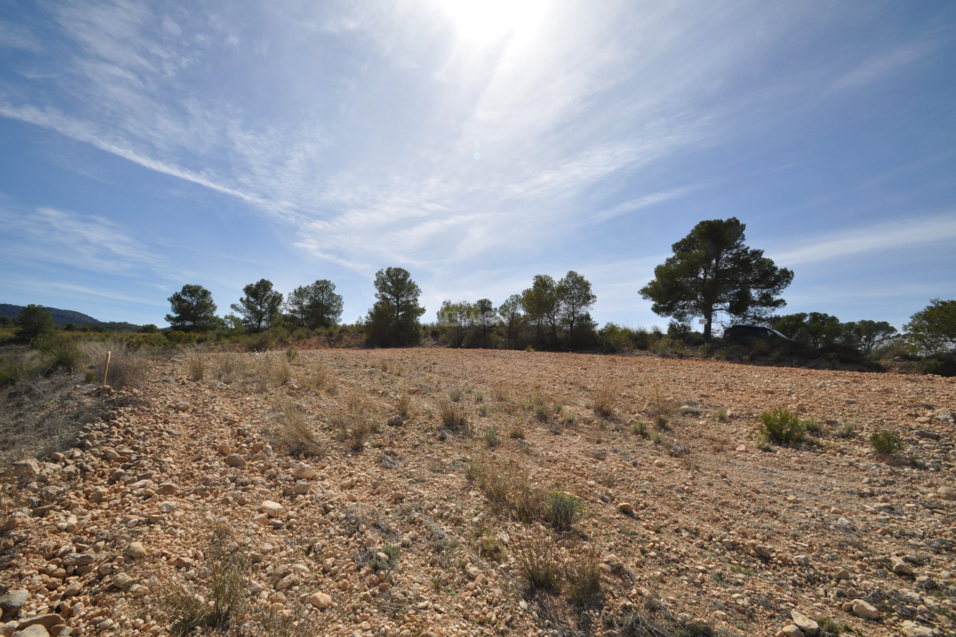 Resale - Land - La Zarza - Inland