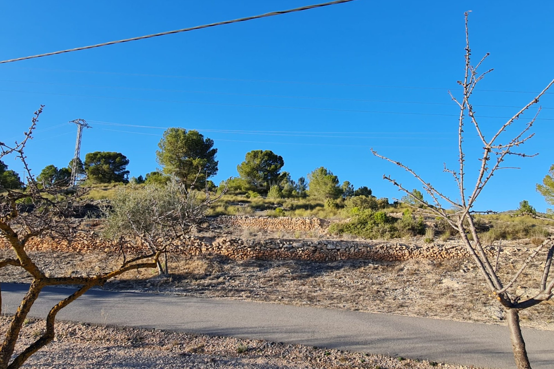 Resale - Land - Monóvar/Monóver - Inland