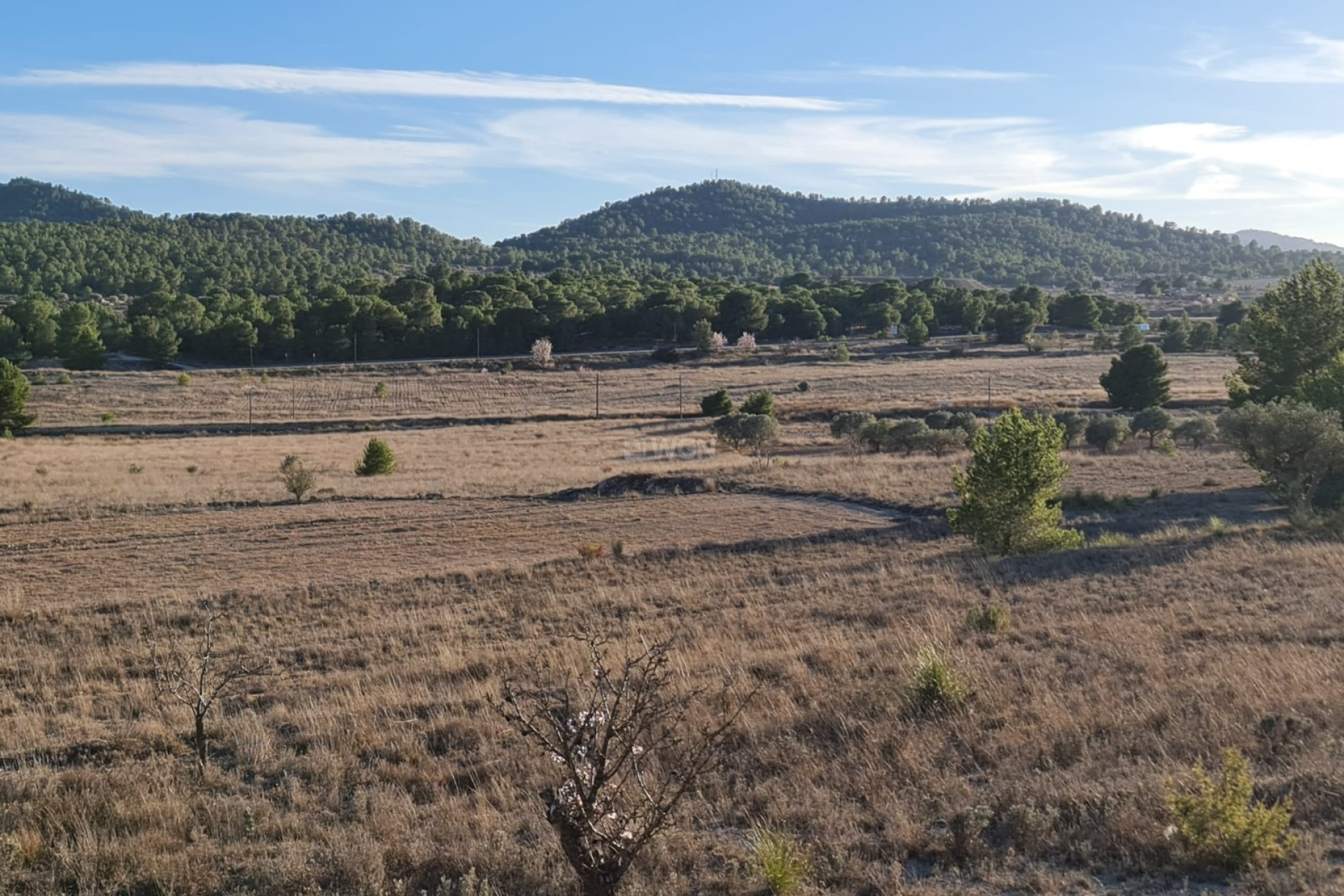 Resale - Land - Monóvar/Monóver - Inland