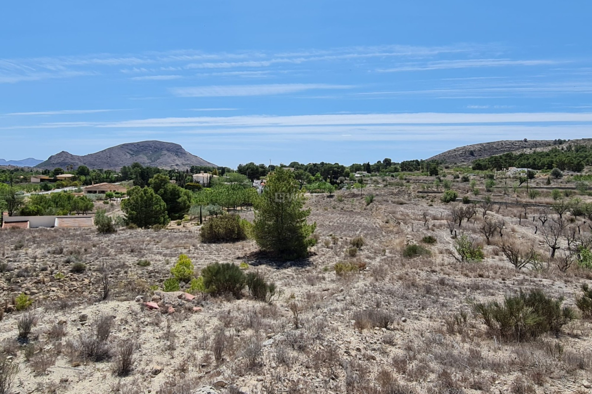 Resale - Land - Monóvar/Monóver - Inland