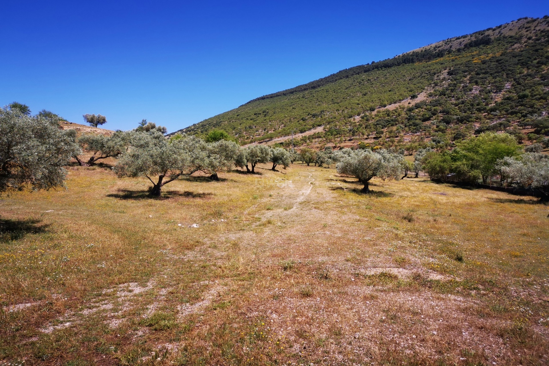 Resale - Land - Periana - Inland