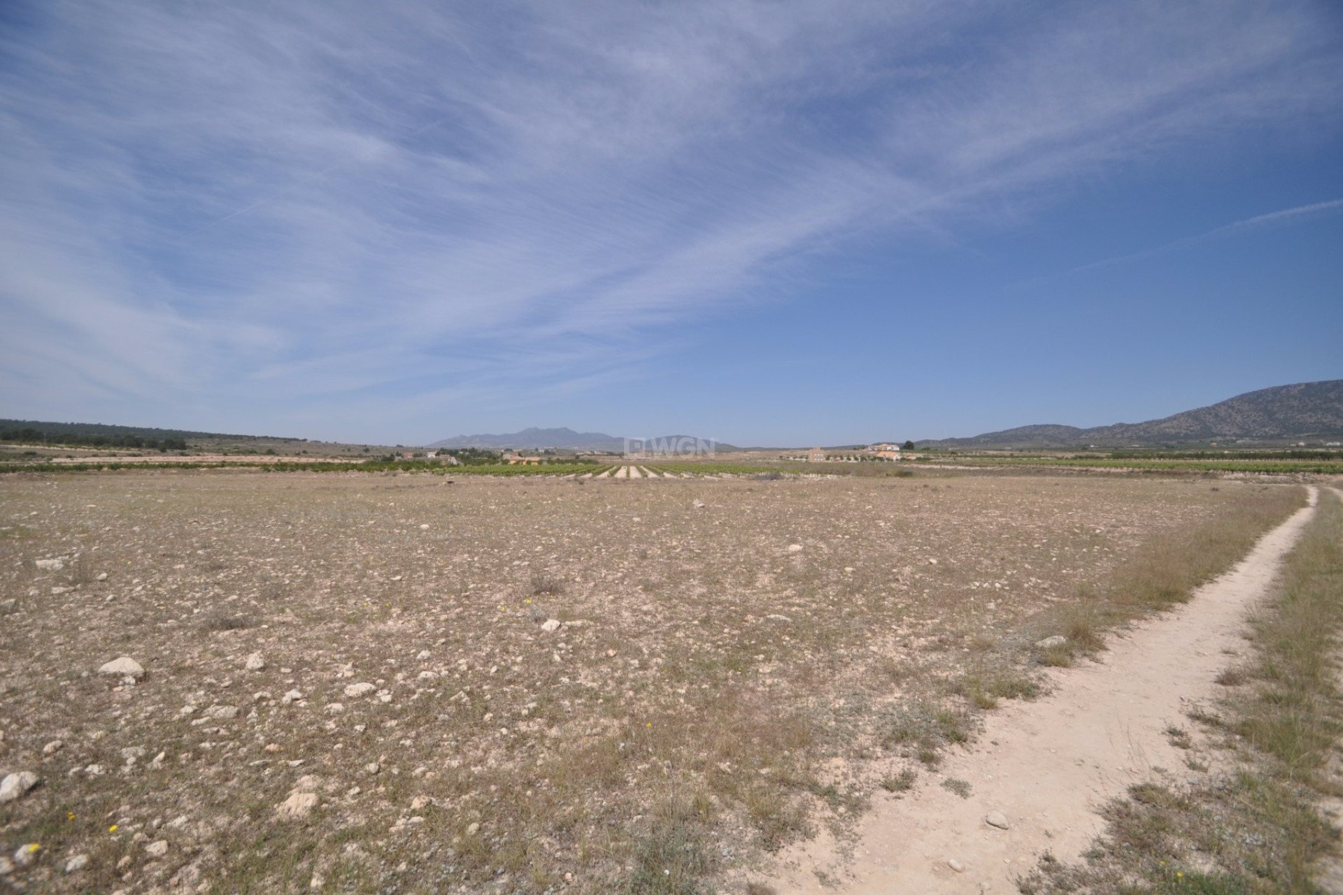 Resale - Land - Pinoso - Inland