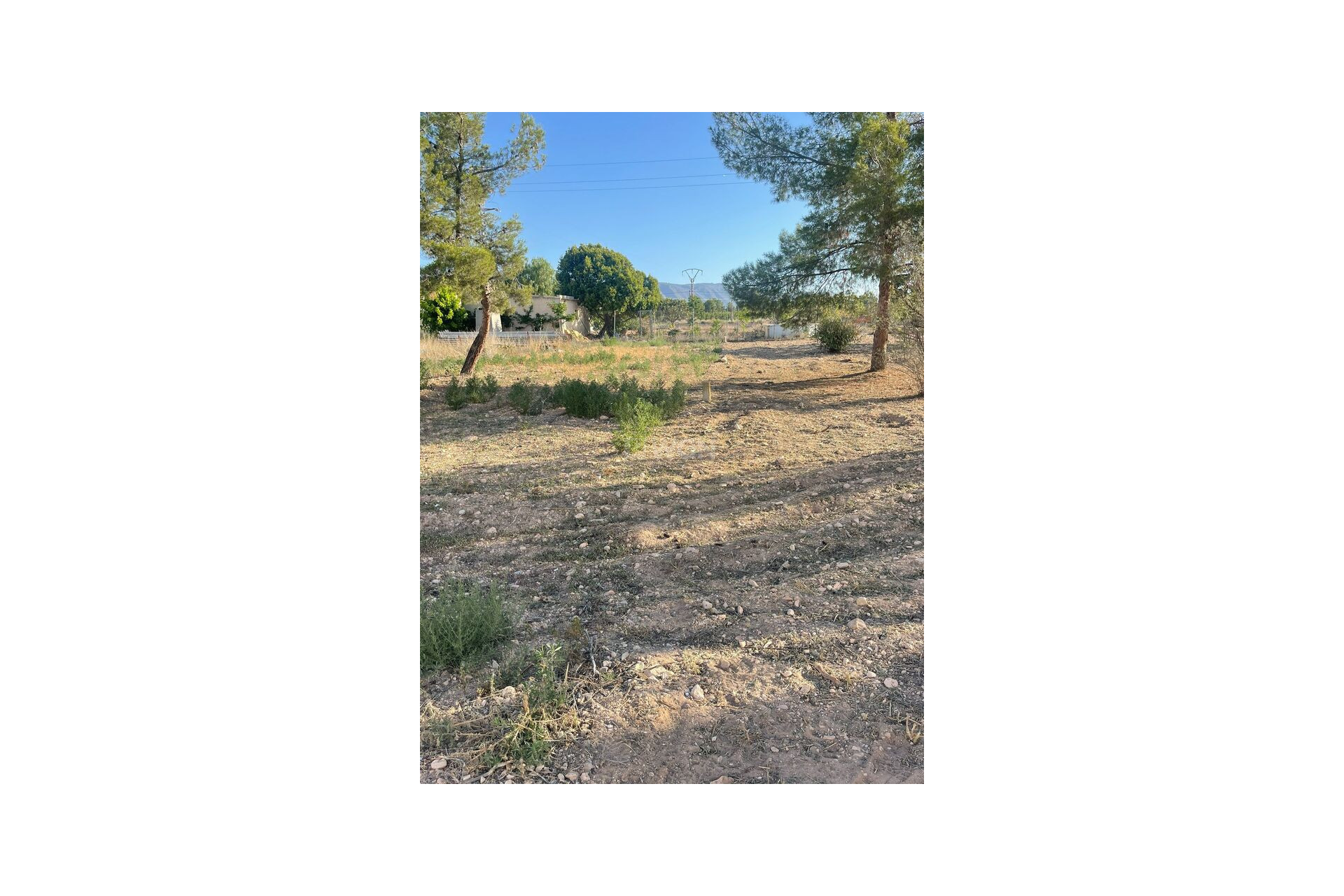 Resale - Land - Pinoso - Inland