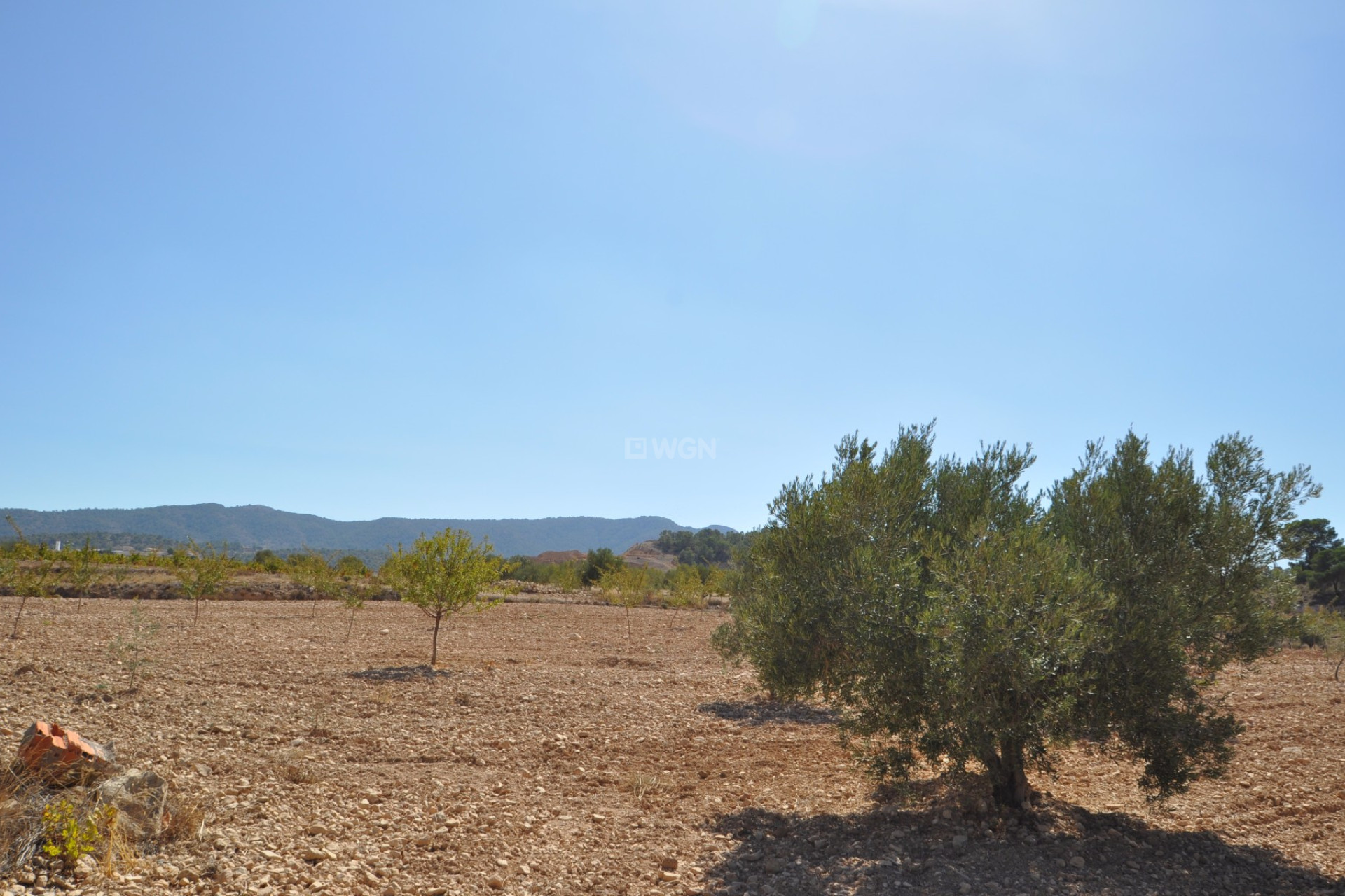 Resale - Land - Torre Del Rico - Inland