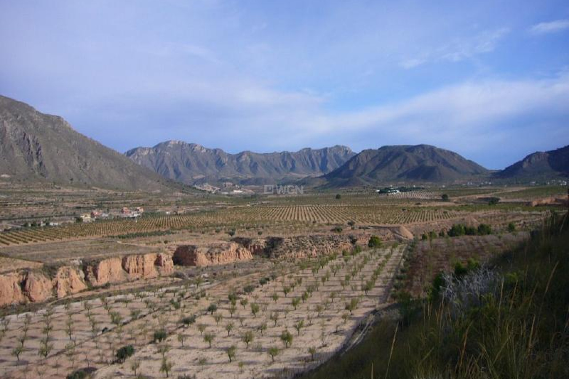 Resale - Other - Macisvenda - Inland