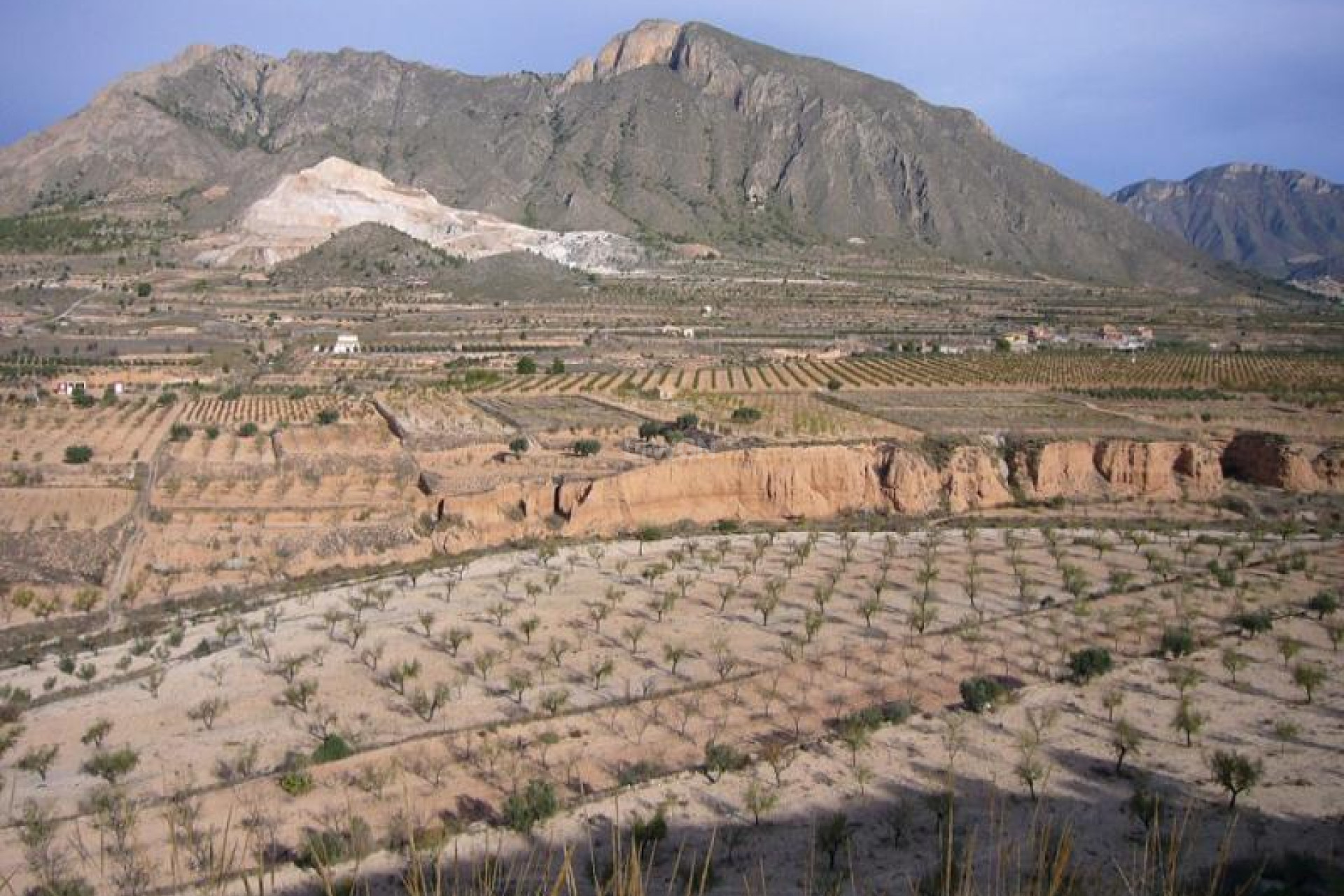 Resale - Other - Macisvenda - Inland