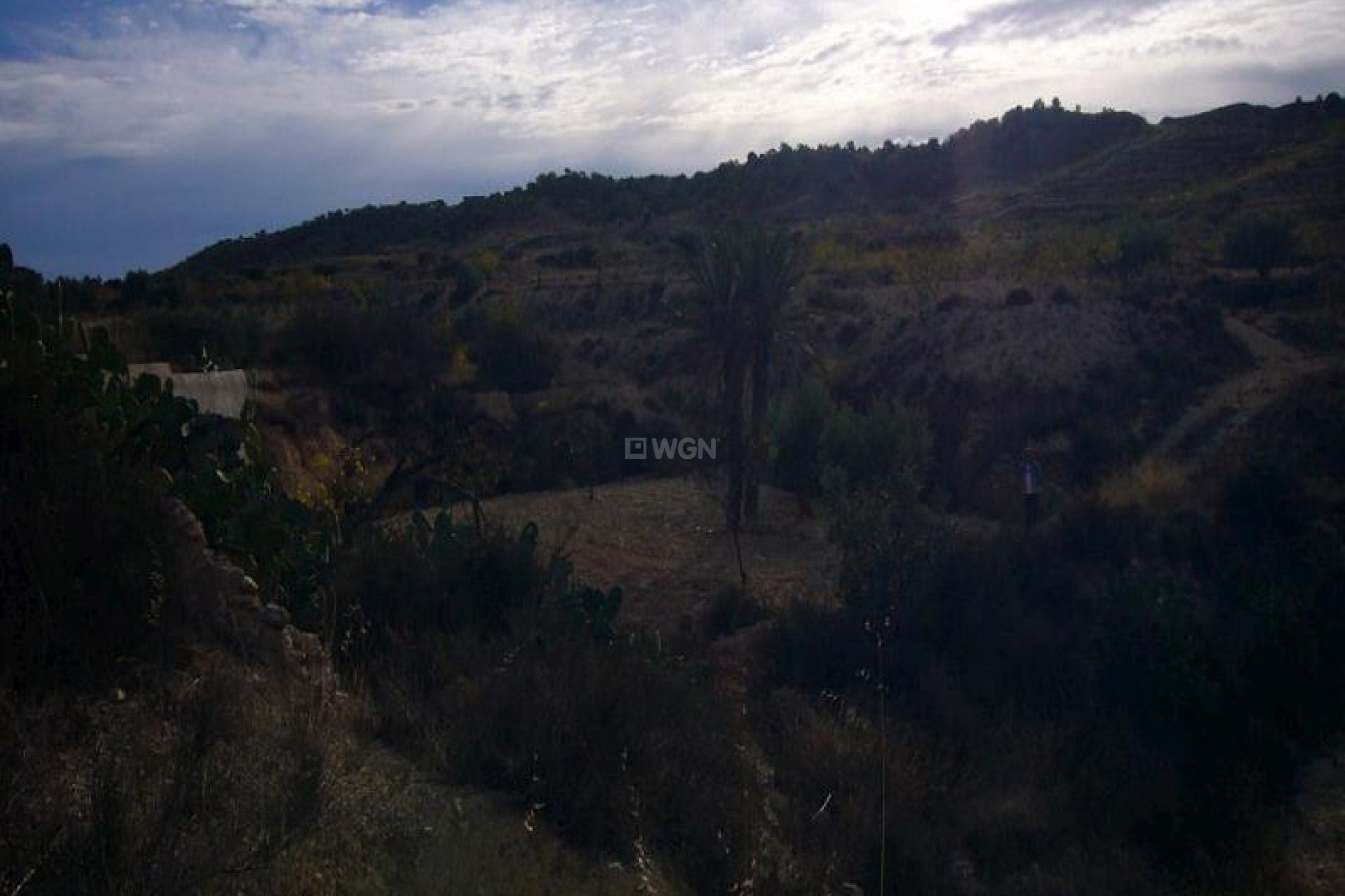 Resale - Other - Macisvenda - Inland