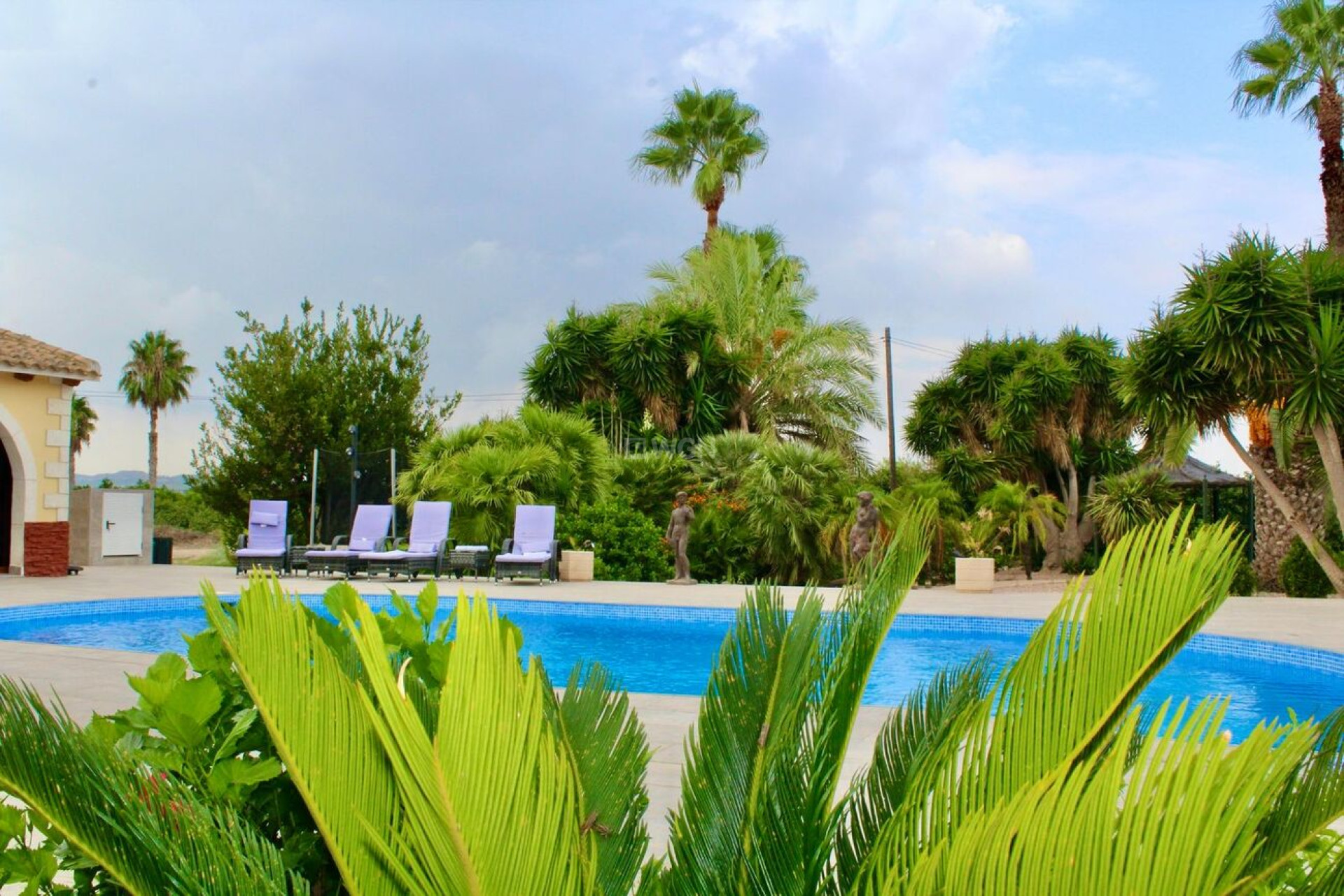 Resale - Other - Orihuela - Campaneneta