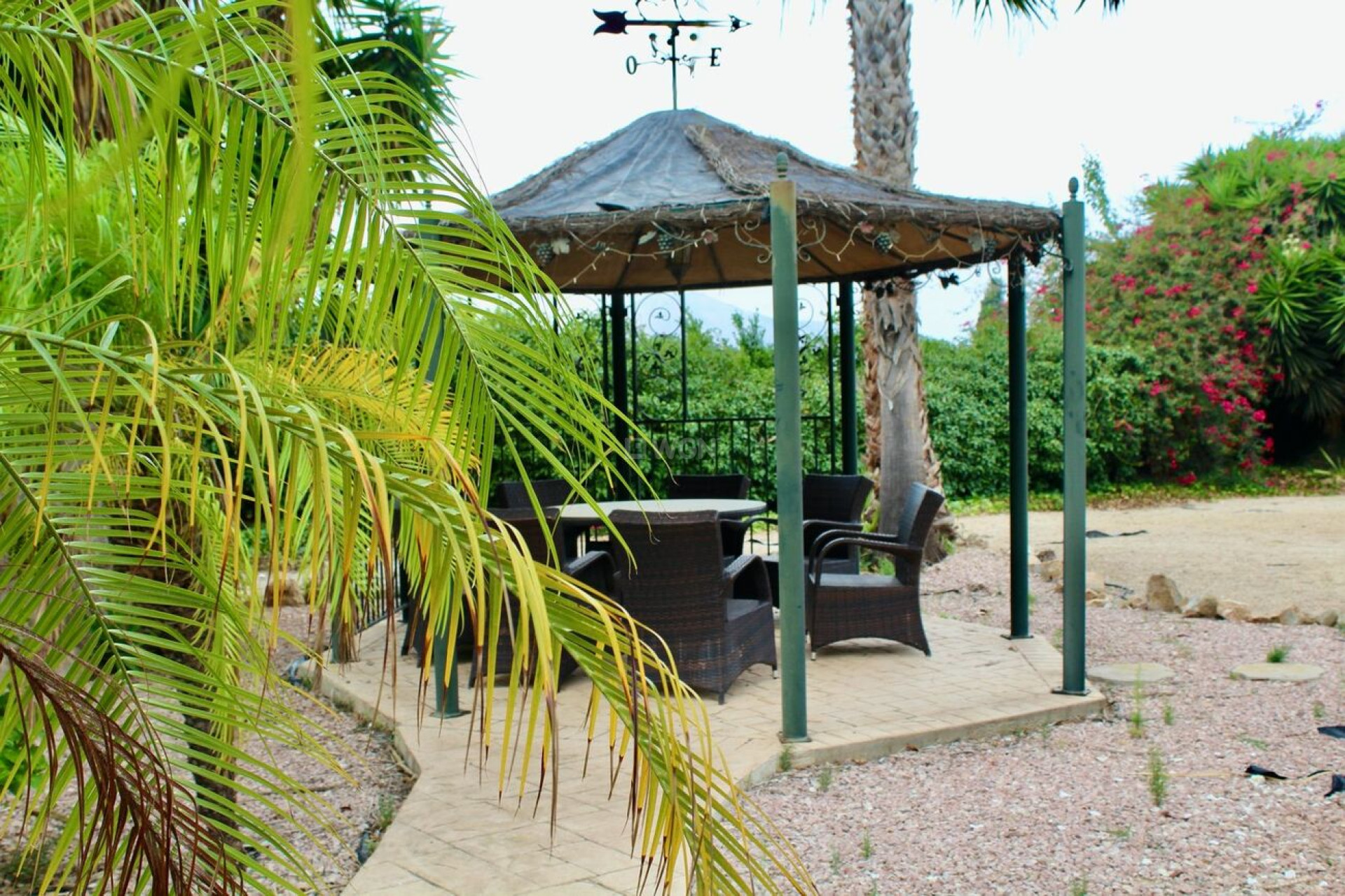 Resale - Other - Orihuela - Campaneneta