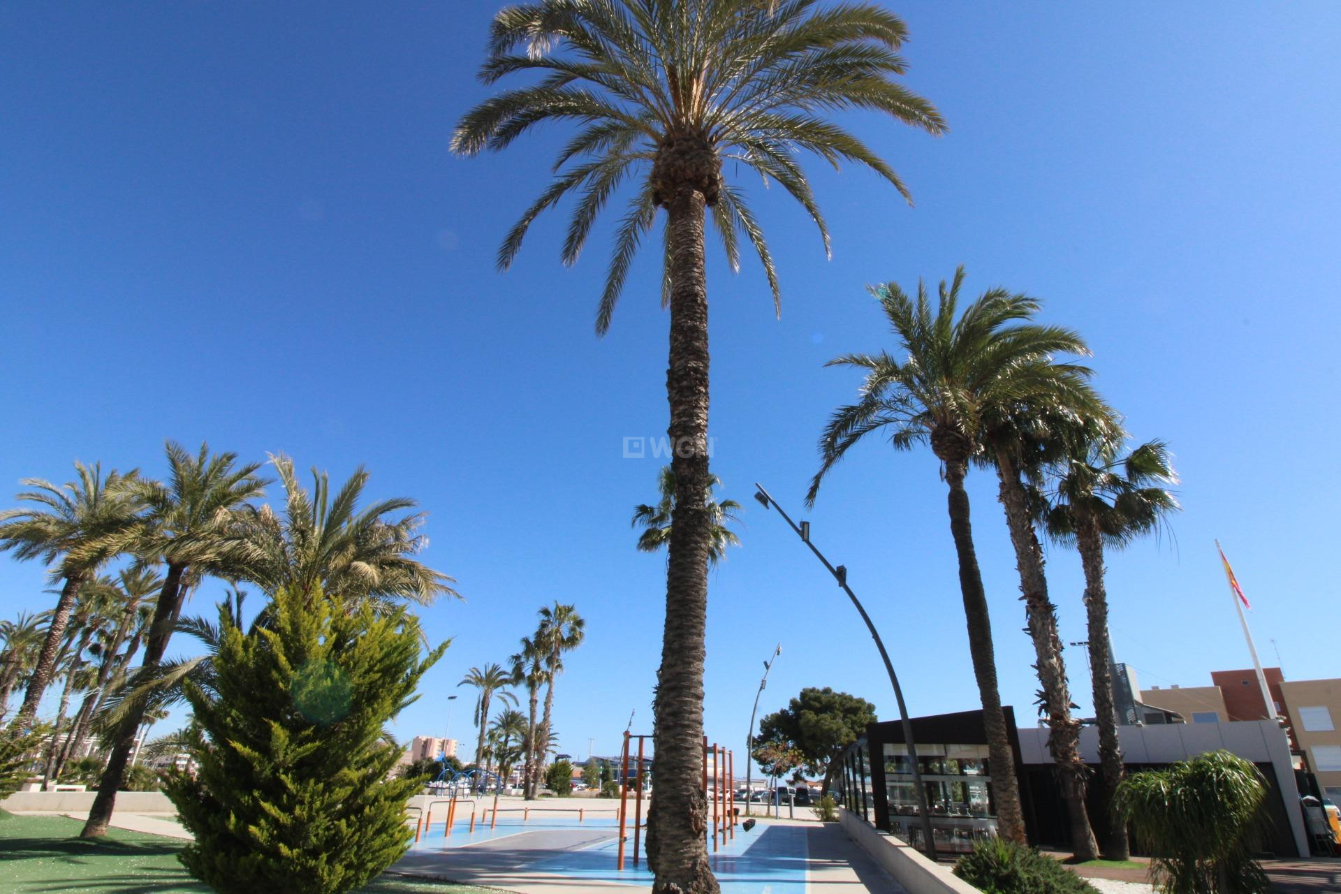 Resale - Penthouse - Lo Pagan - LA PUNTICA