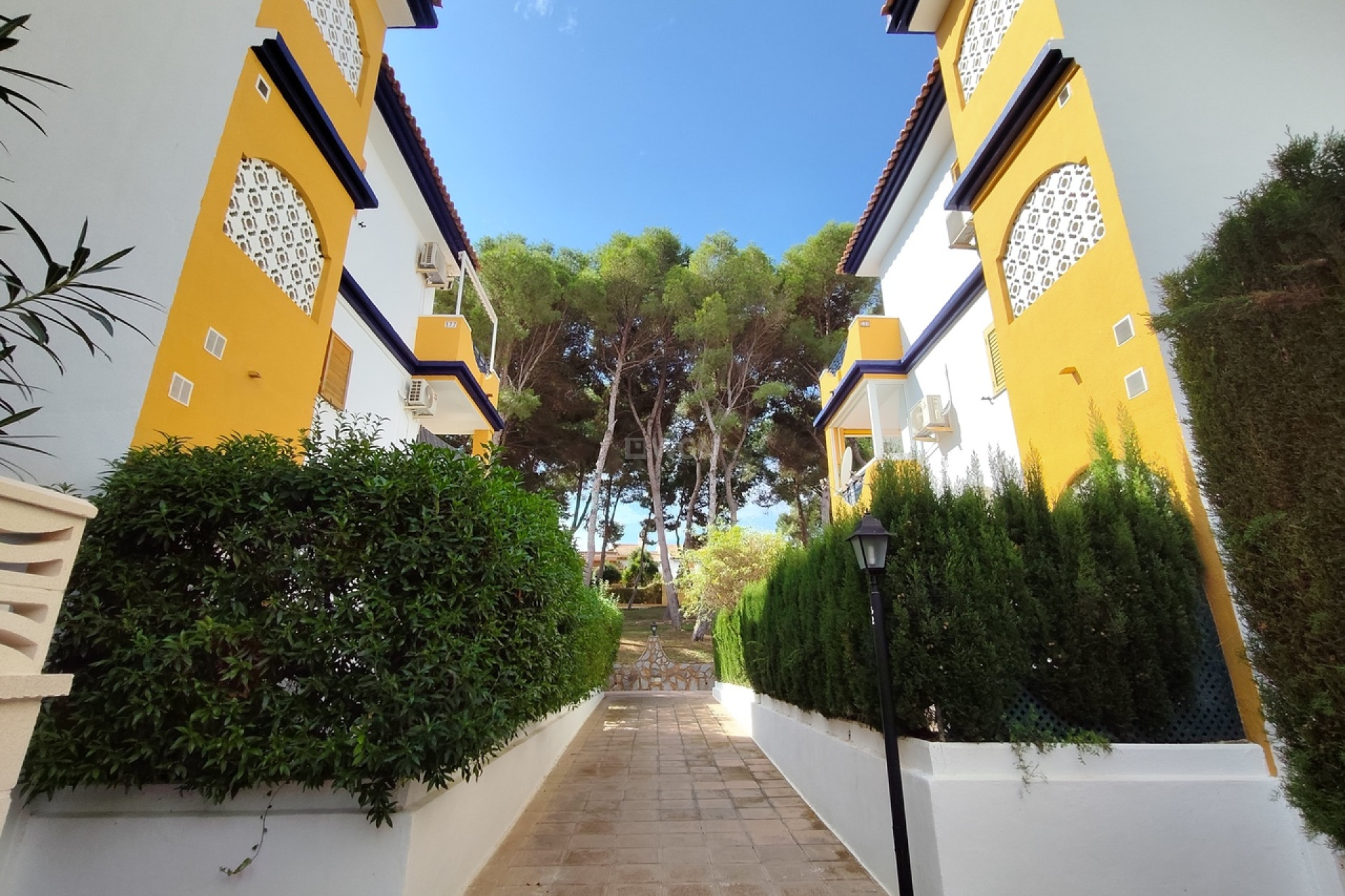 Resale - Penthouse - Mil Palmeras - Costa Blanca