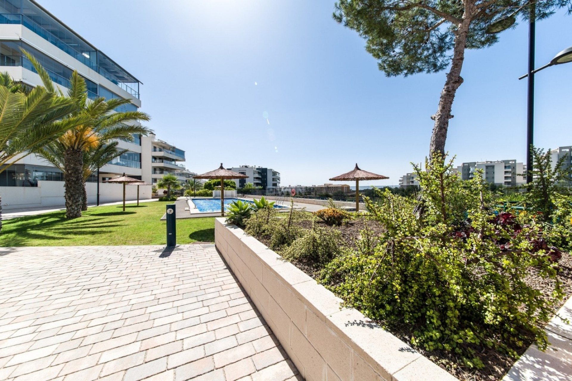 Resale - Penthouse - Orihuela Costa - Costa Blanca