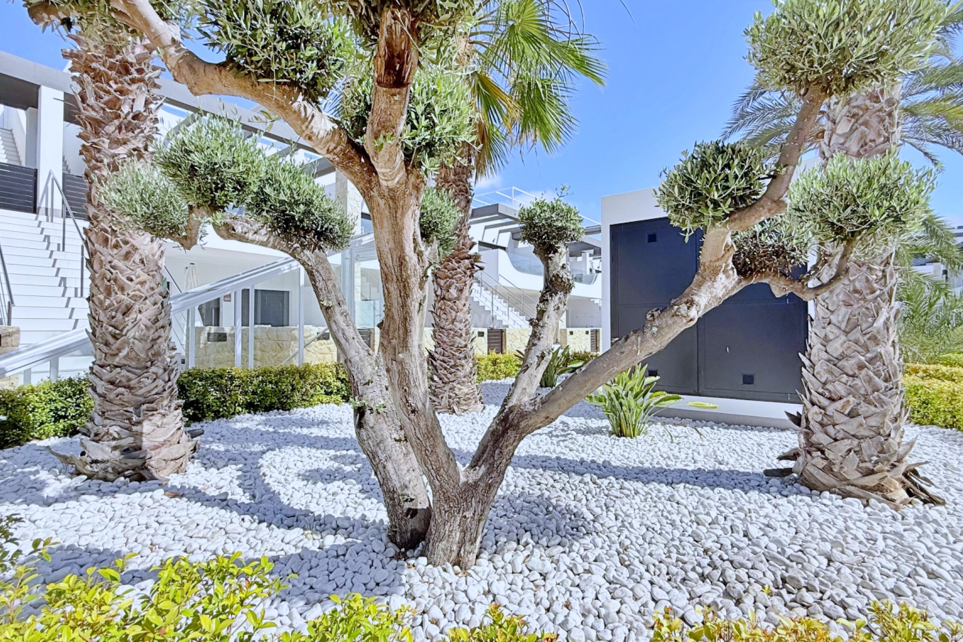 Resale - Penthouse - Orihuela Costa - Costa Blanca